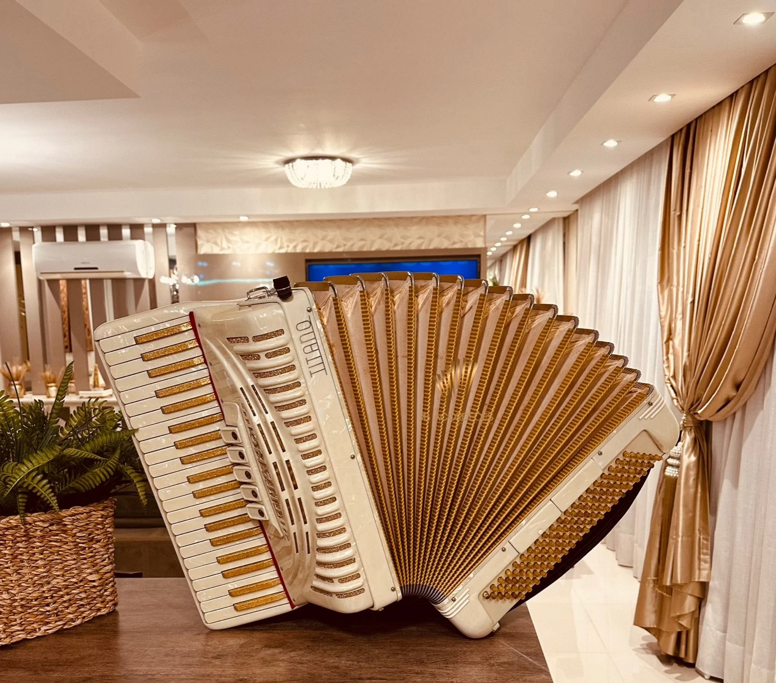 Titano 120 baixos - 3/4 voz violin - tamanho semirreduzido