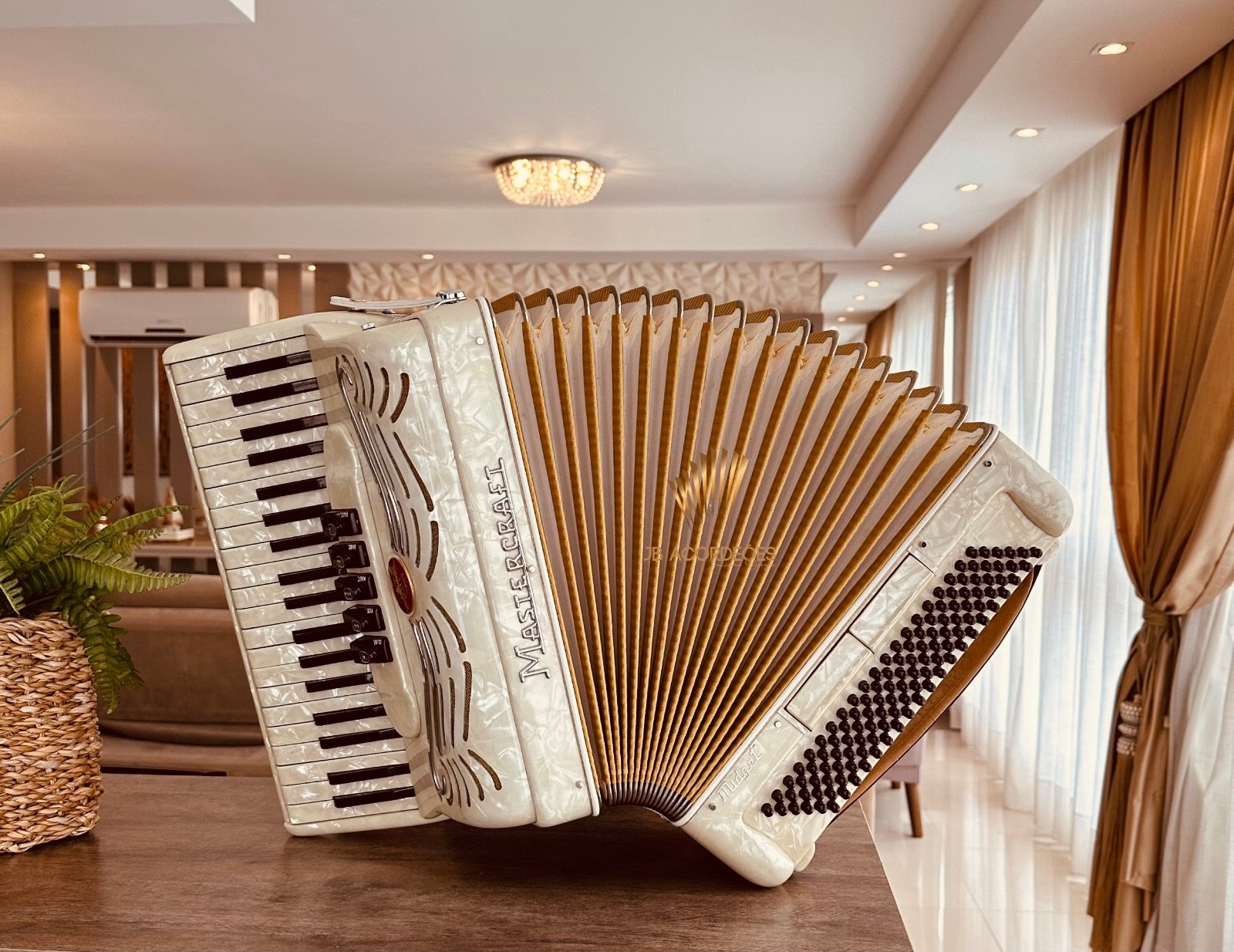 Mastercraft 120 baixos - 3/4 voz violin - super-reduzido
