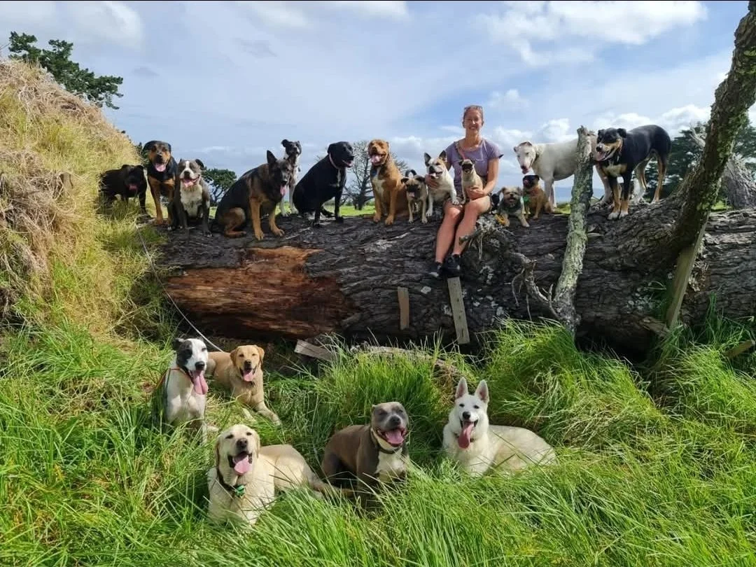 A woman and numerous dogs pose on and beneath a fallen large tree in a grassy outdoor setting on a partly cloudy day.