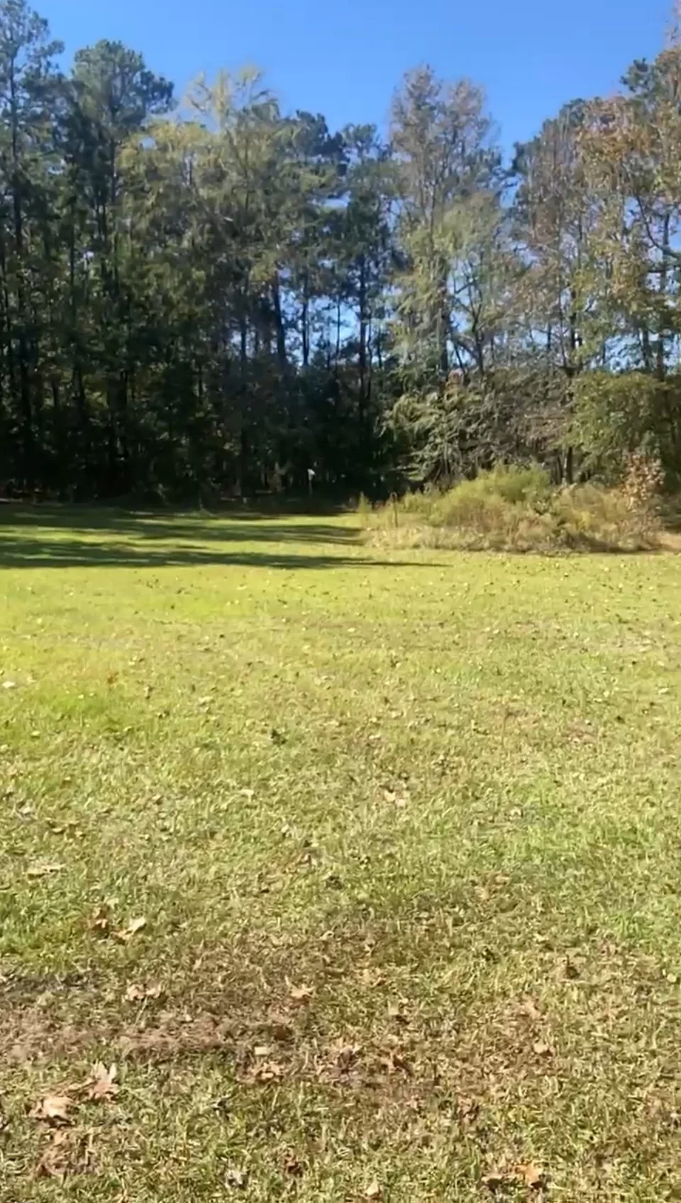Life on the Land; The Taylorosa Homestead Journey 