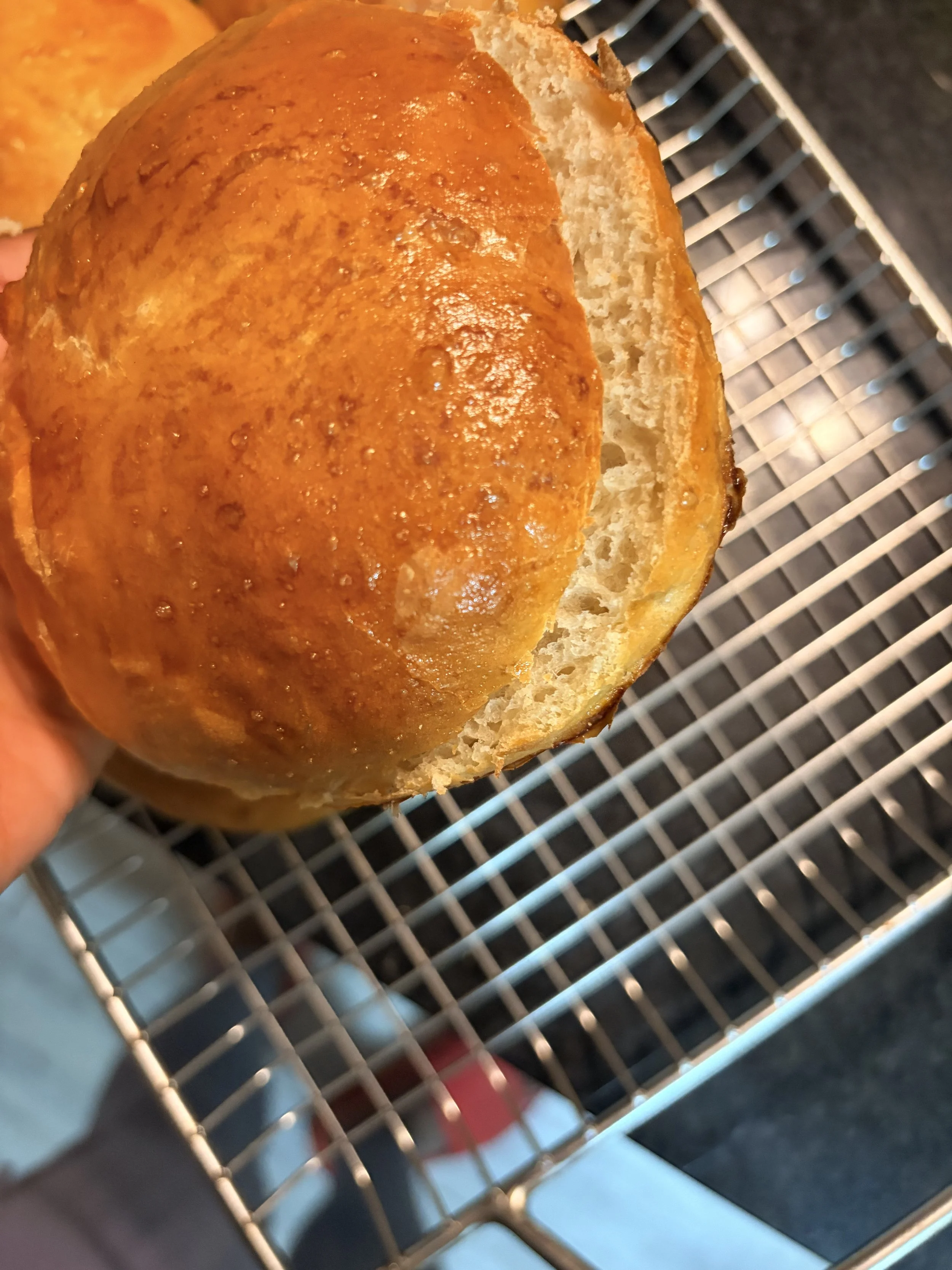 Fresh From the Oven: My First Homemade Bread &amp; Burger Buns