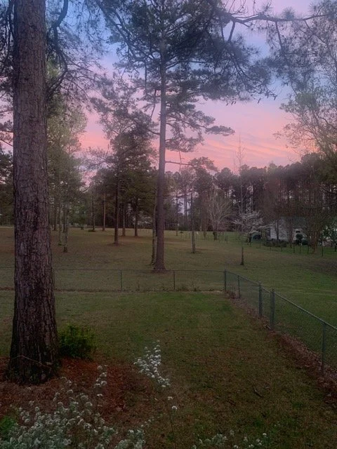 A peaceful outdoor scene at sunset with pink and purple sky, tall trees, and a grassy yard enclosed by a fence.