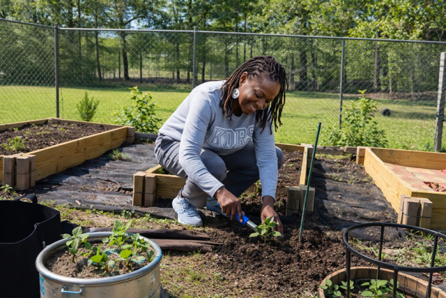 Woman planting a small seedling in her backyard garden surrounded by raised beds and gardening tools.