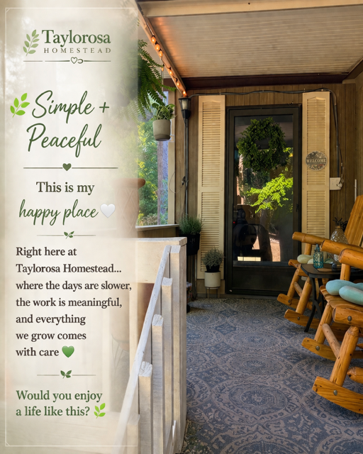 Sign at Taylorsa Homestead reads 'Simple + Peaceful. This is my happy place. Right here at Taylora Homestead... where the days are slower, the work is meaningful, and everything we grow comes with care. Would you enjoy a life like this?'. The porch has wooden chairs, potted plants, and a door with shutters and a wreath.