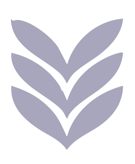 Miami icons-30.png
