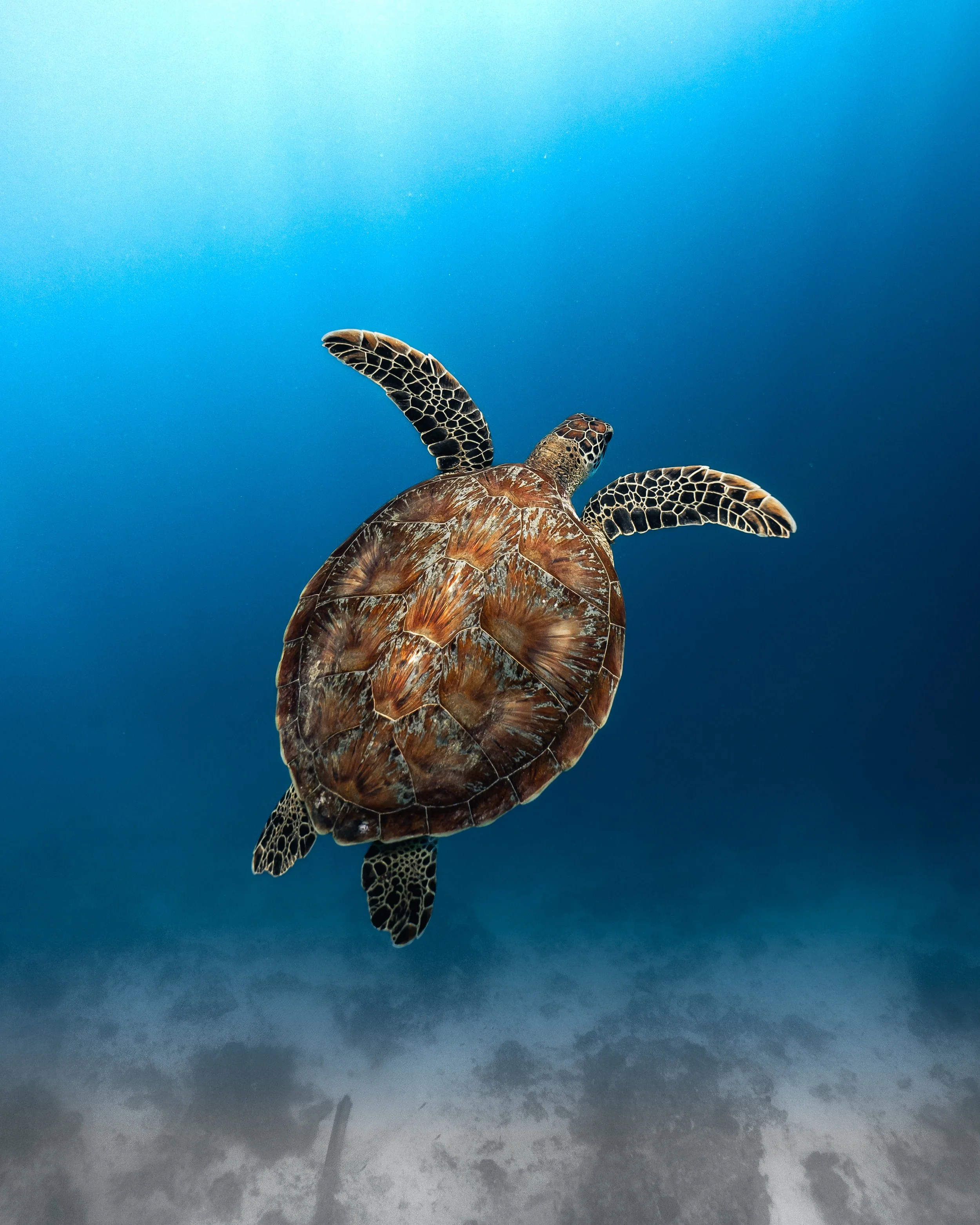 Photo Nov 17 2025, 7 37 47 PM (1).jpg