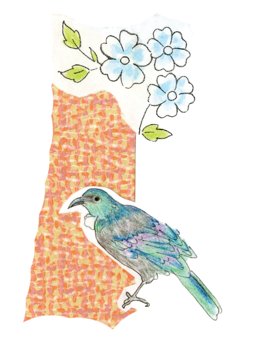 A mixed-media illustration featuring a colorful bird, likely a tui, perched on a textured orange background, with a cluster of blue flowers and green leaves above it.