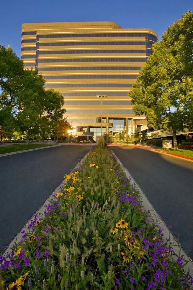 Modern office building with curved glass exterior, trees on either side, and a flower bed in the center of the driveway.