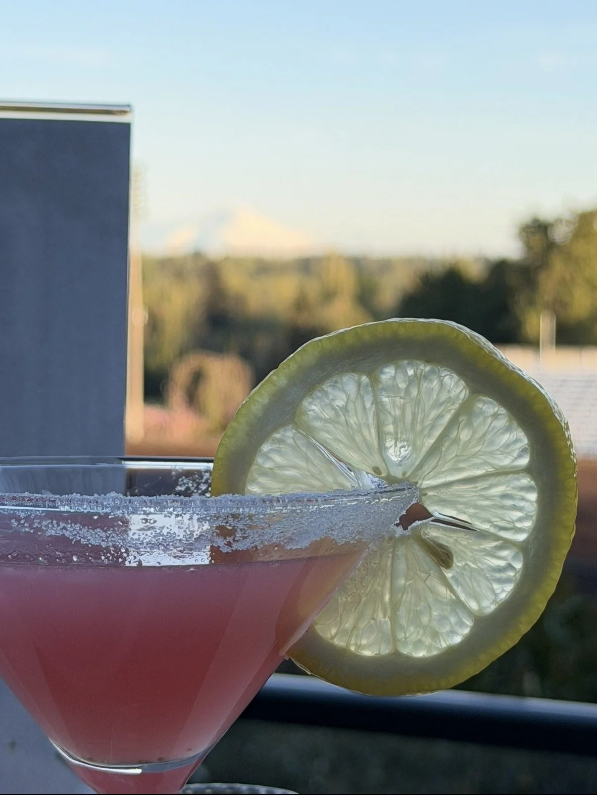 A pink cocktail in a martini glass with a salted rim, garnished with a lemon slice, on a table outdoors during sunset or late afternoon.
