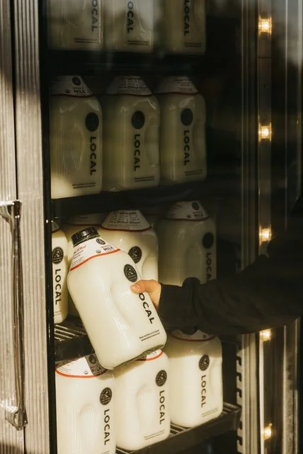 glass jugs of milk in a fridge