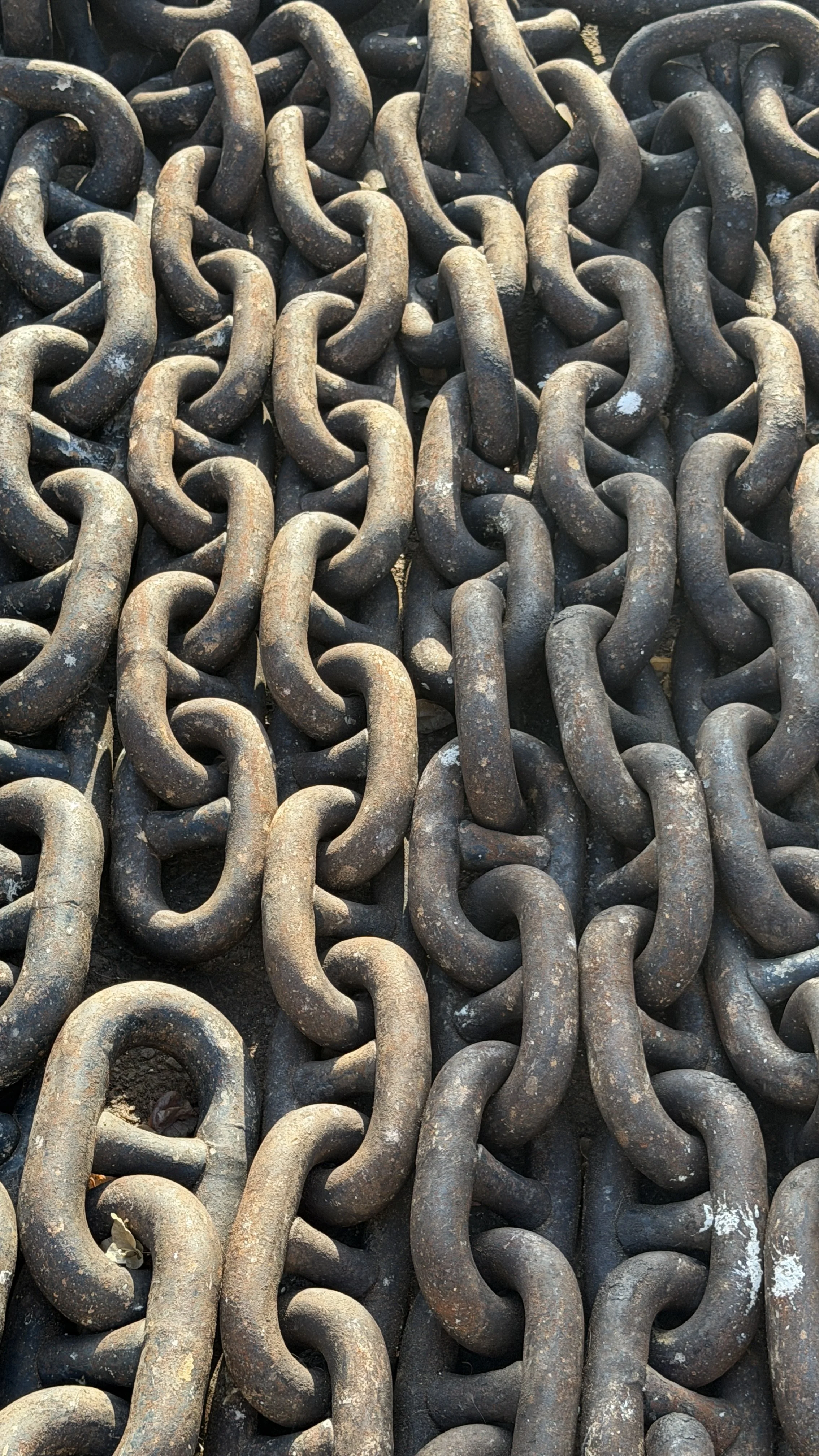 A close-up of numerous intertwined rusty metal chains covering the ground.
