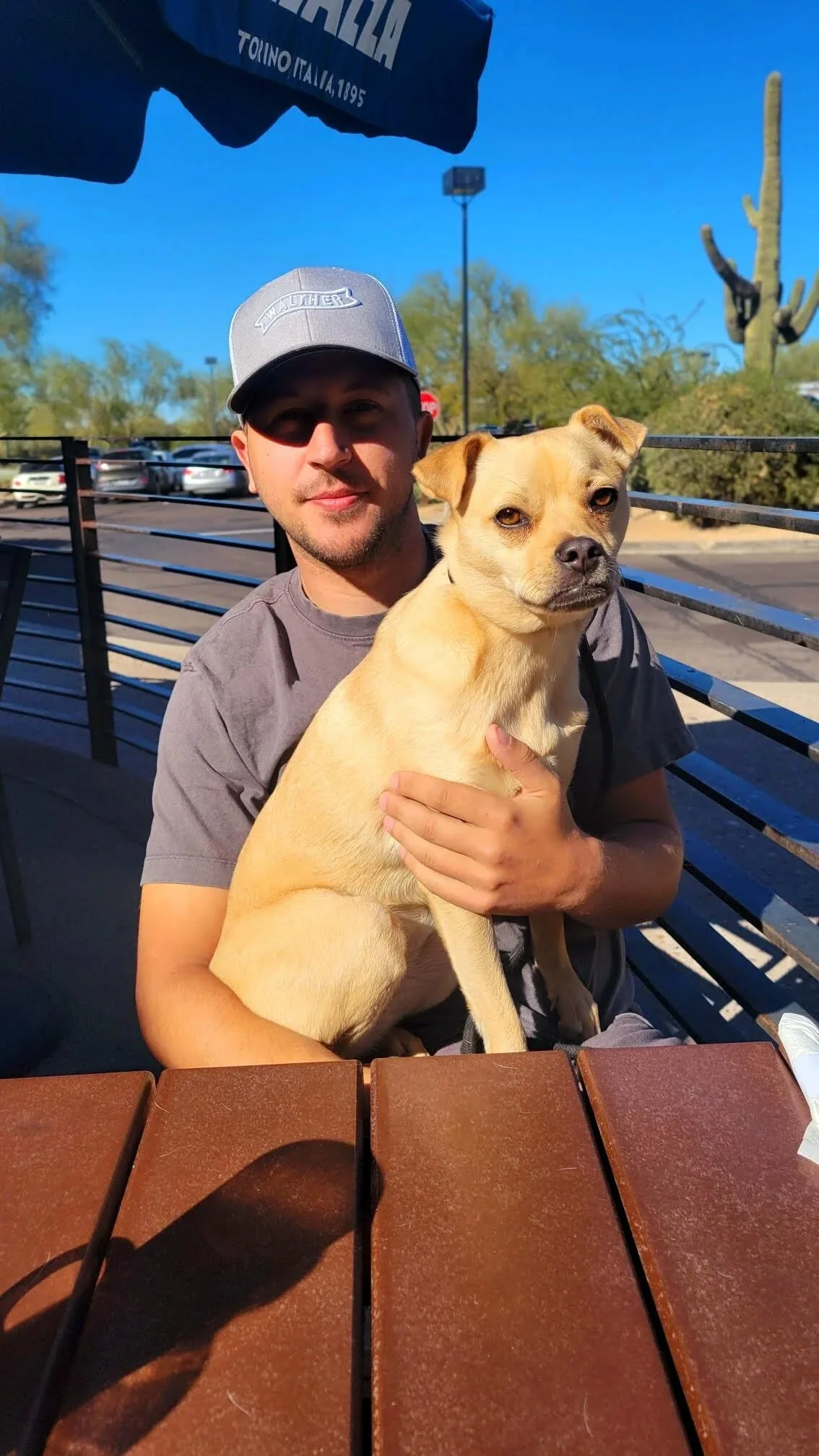 A man wearing a gray cap and gray T-shirt sitting on a bench outdoors, holding a tan-colored dog with a short coat. The background includes a parking lot with cars, a cactus, and blue sky.