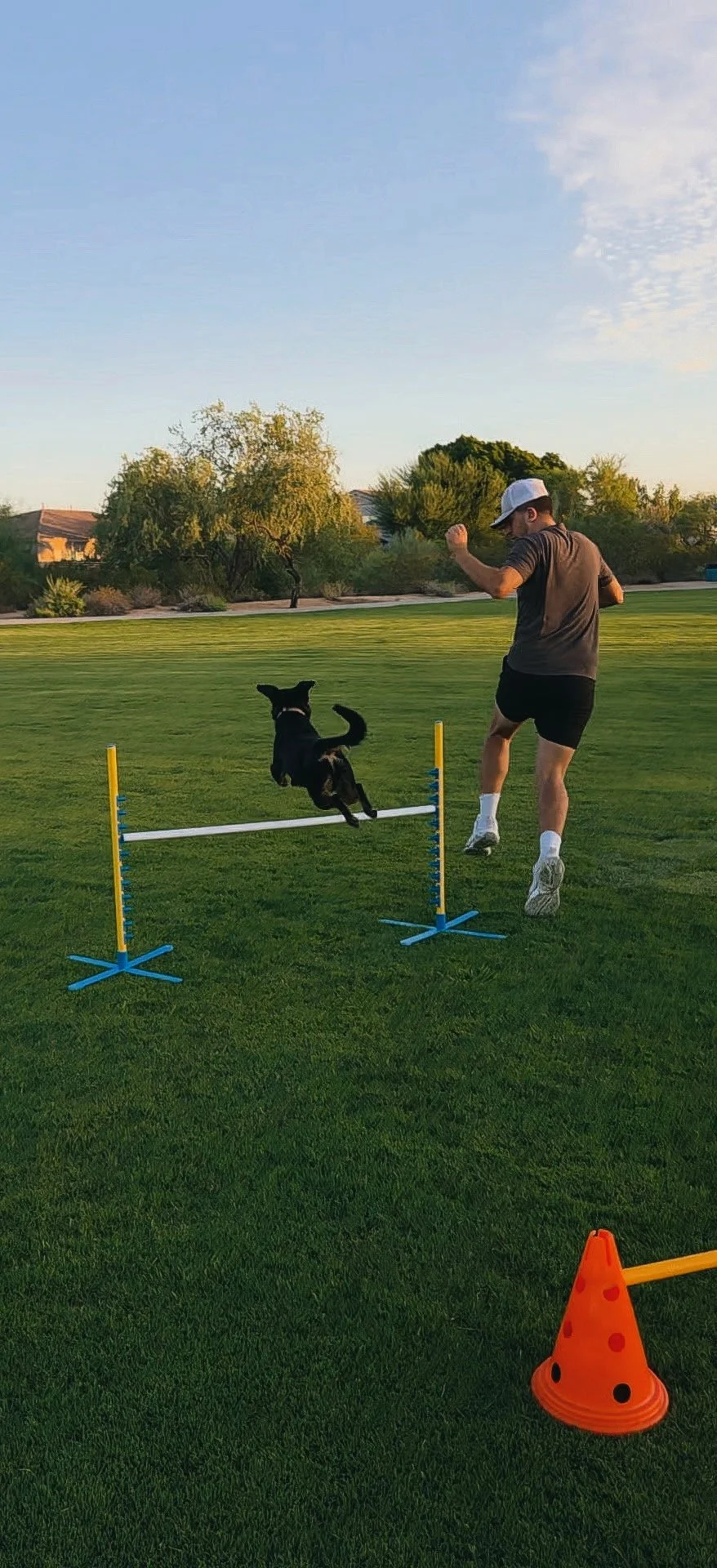 Agility
