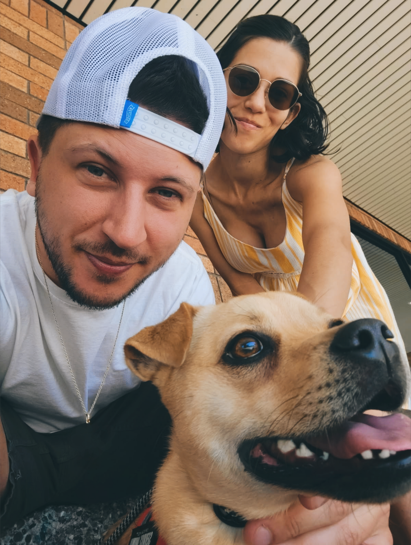 A selfie of a young man and woman with a large, happy dog outdoors against a brick wall and wooden ceiling.