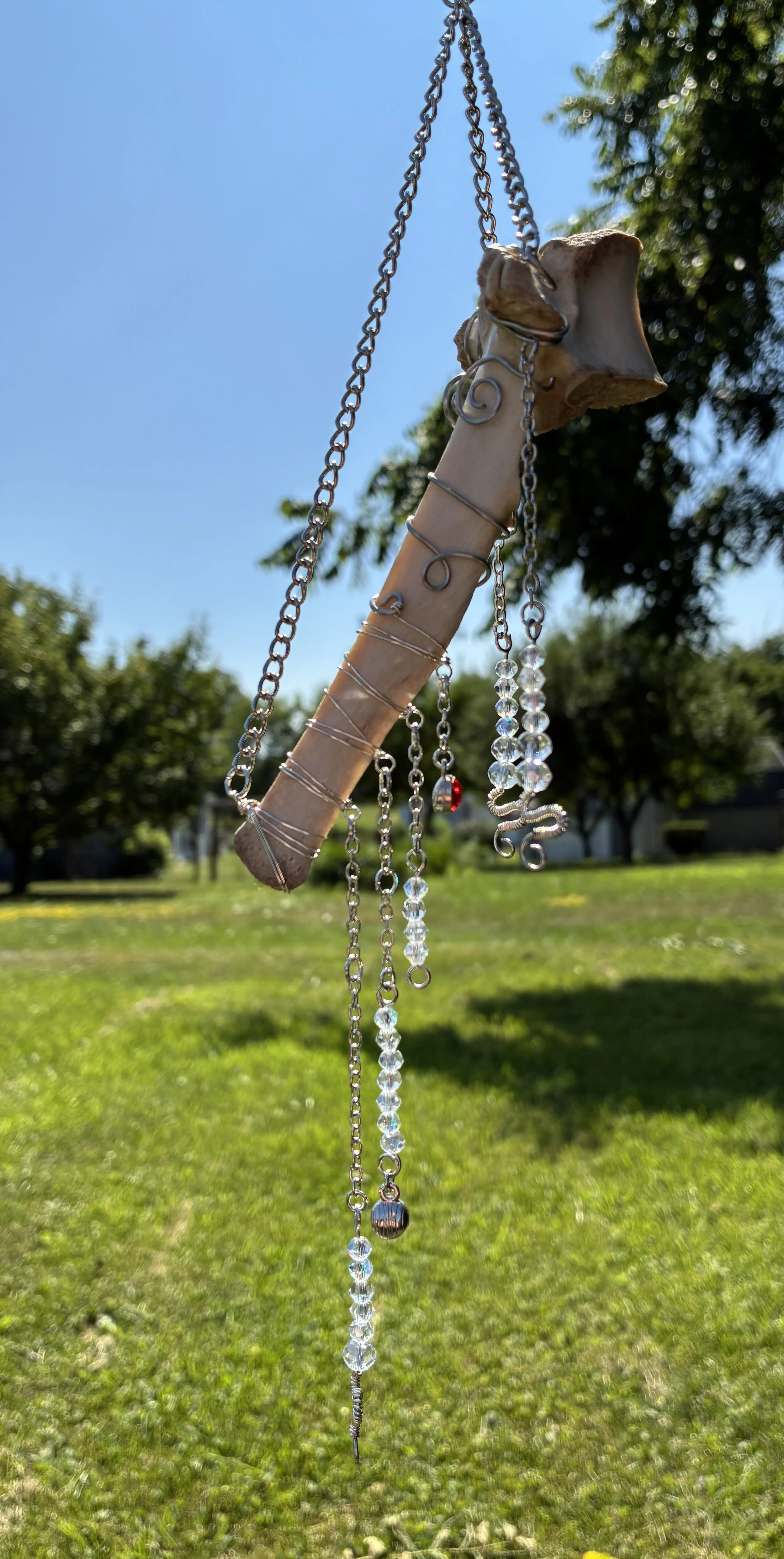 IMG_0038.jpeg