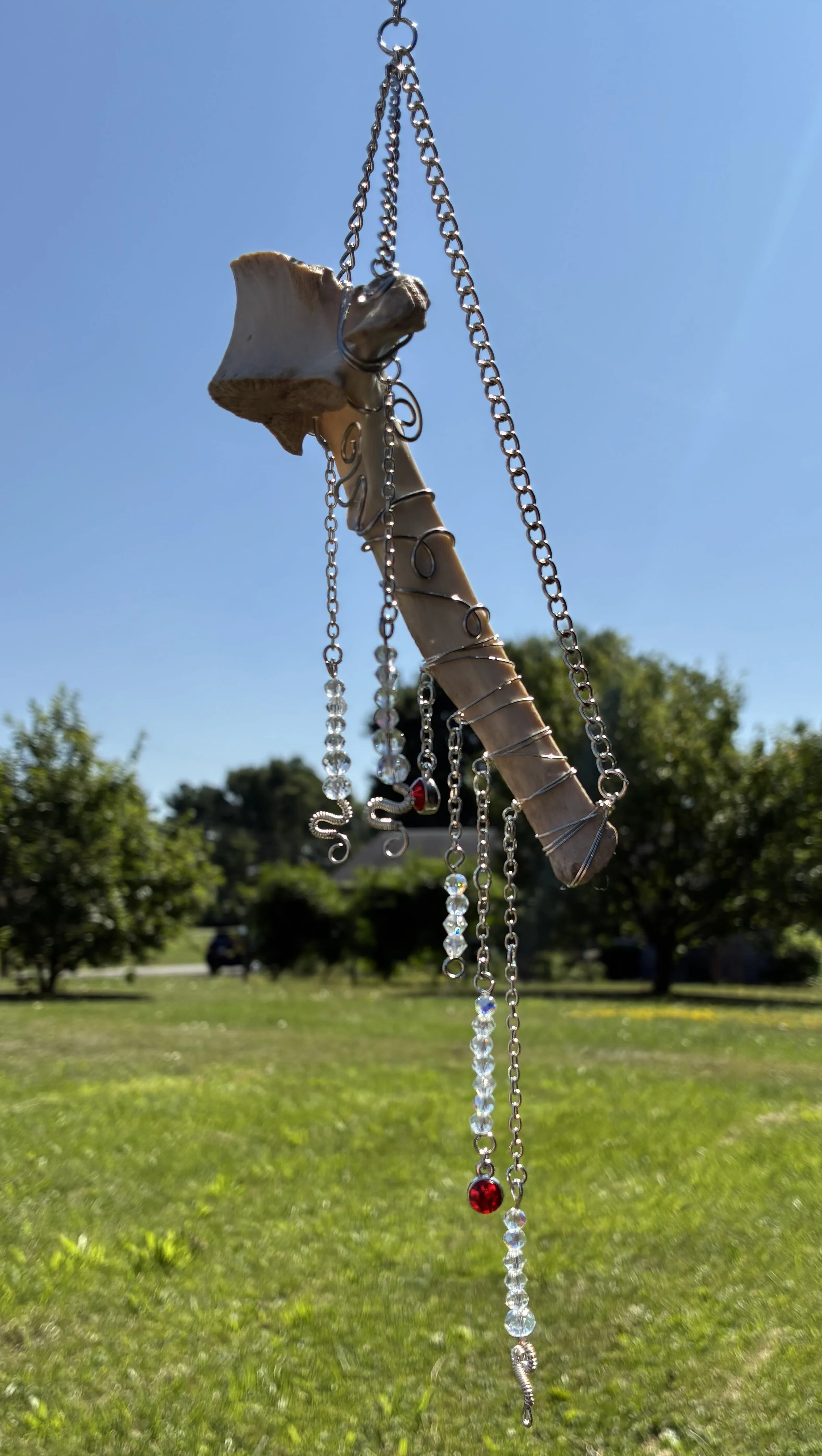 IMG_0040.jpeg