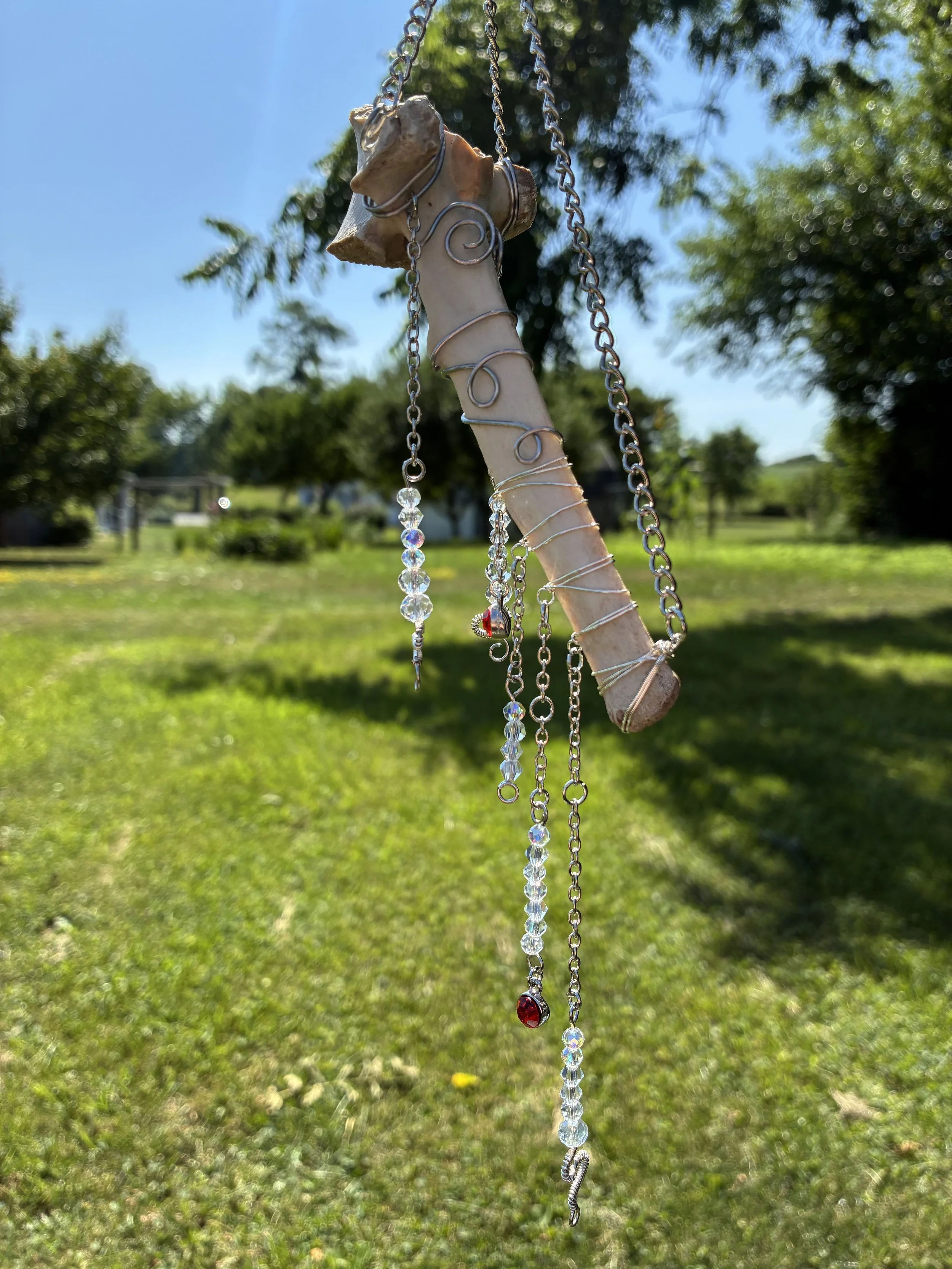IMG_0033.jpeg