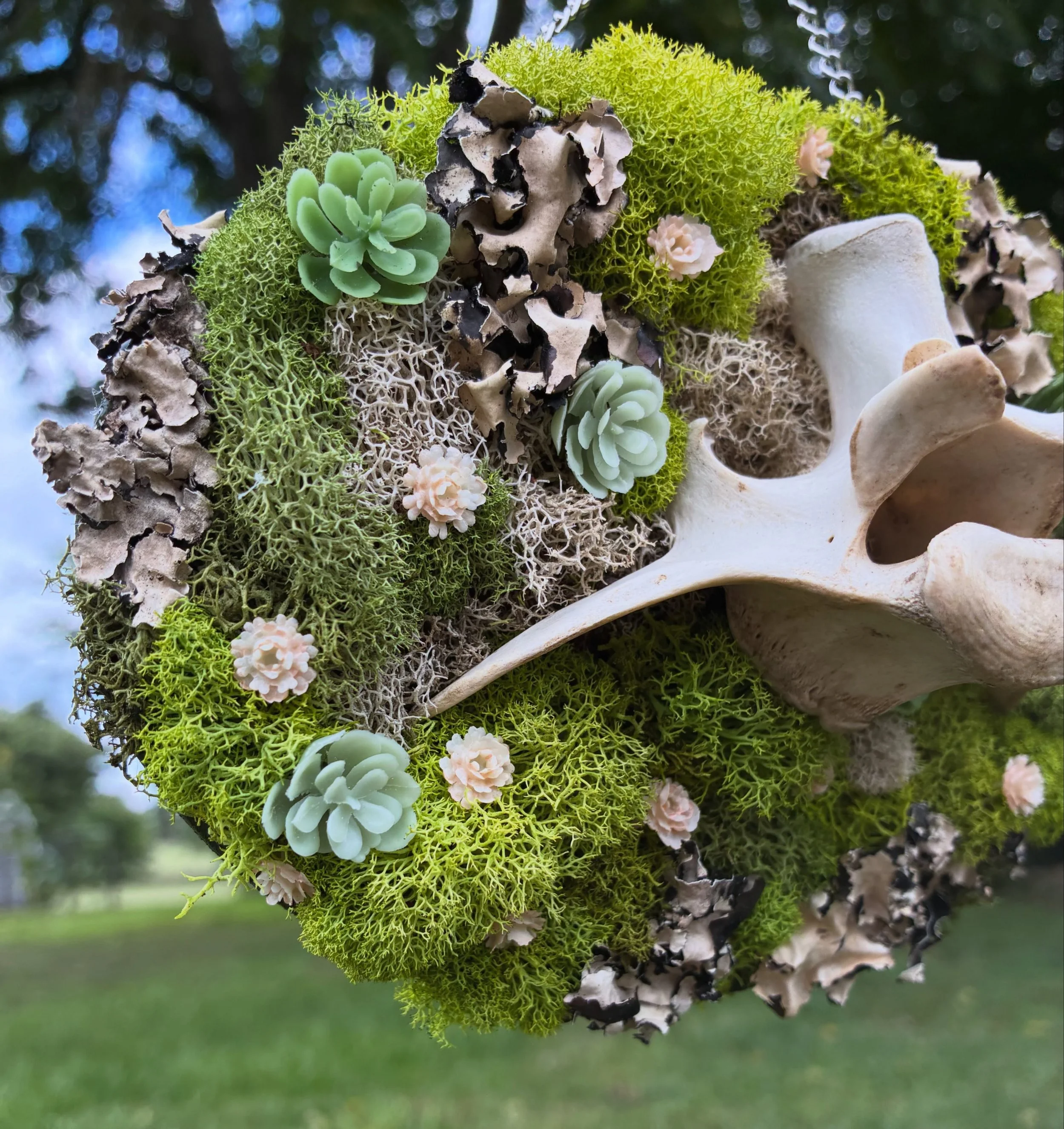 moss 3.jpg