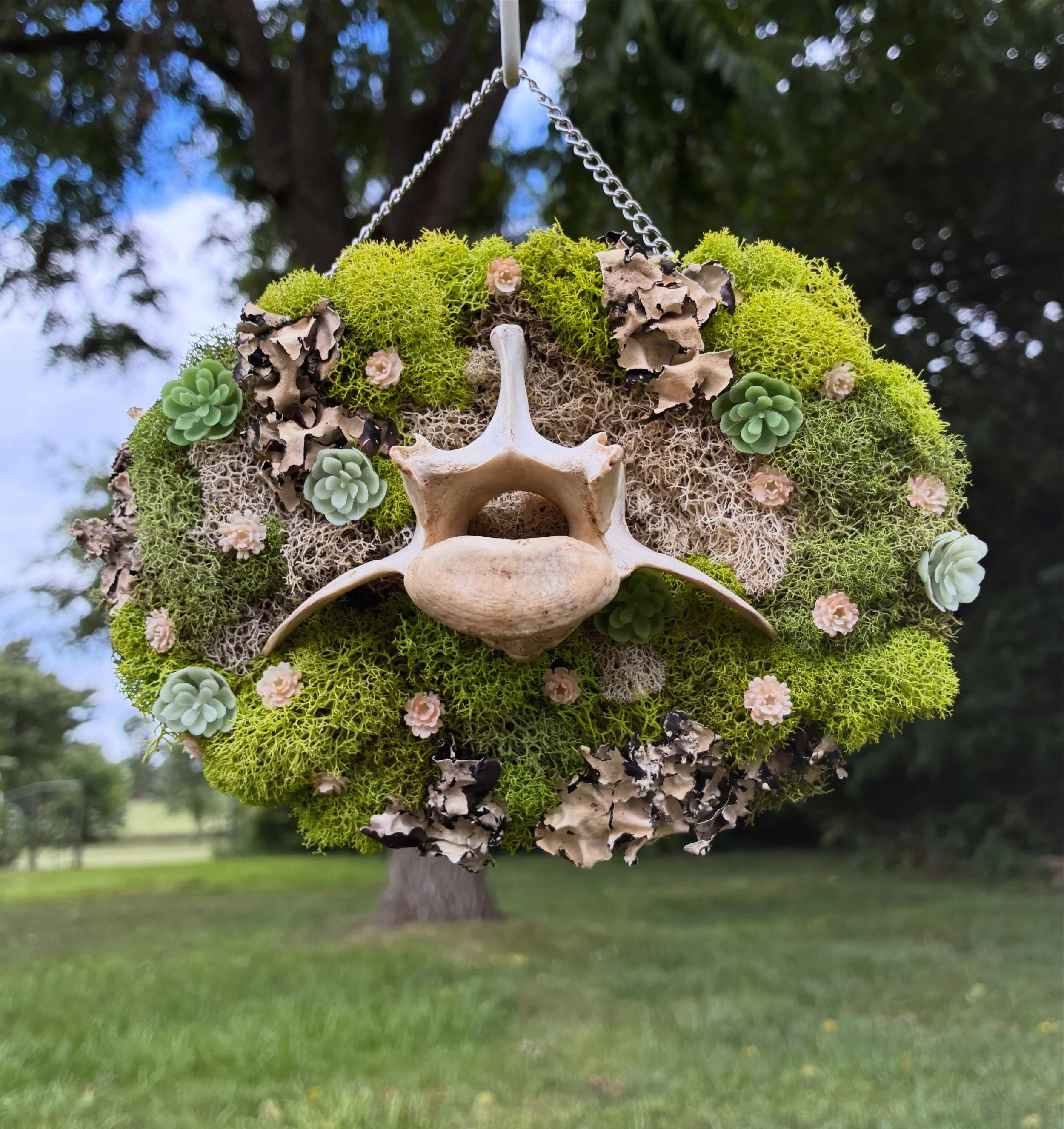 1moss.jpg