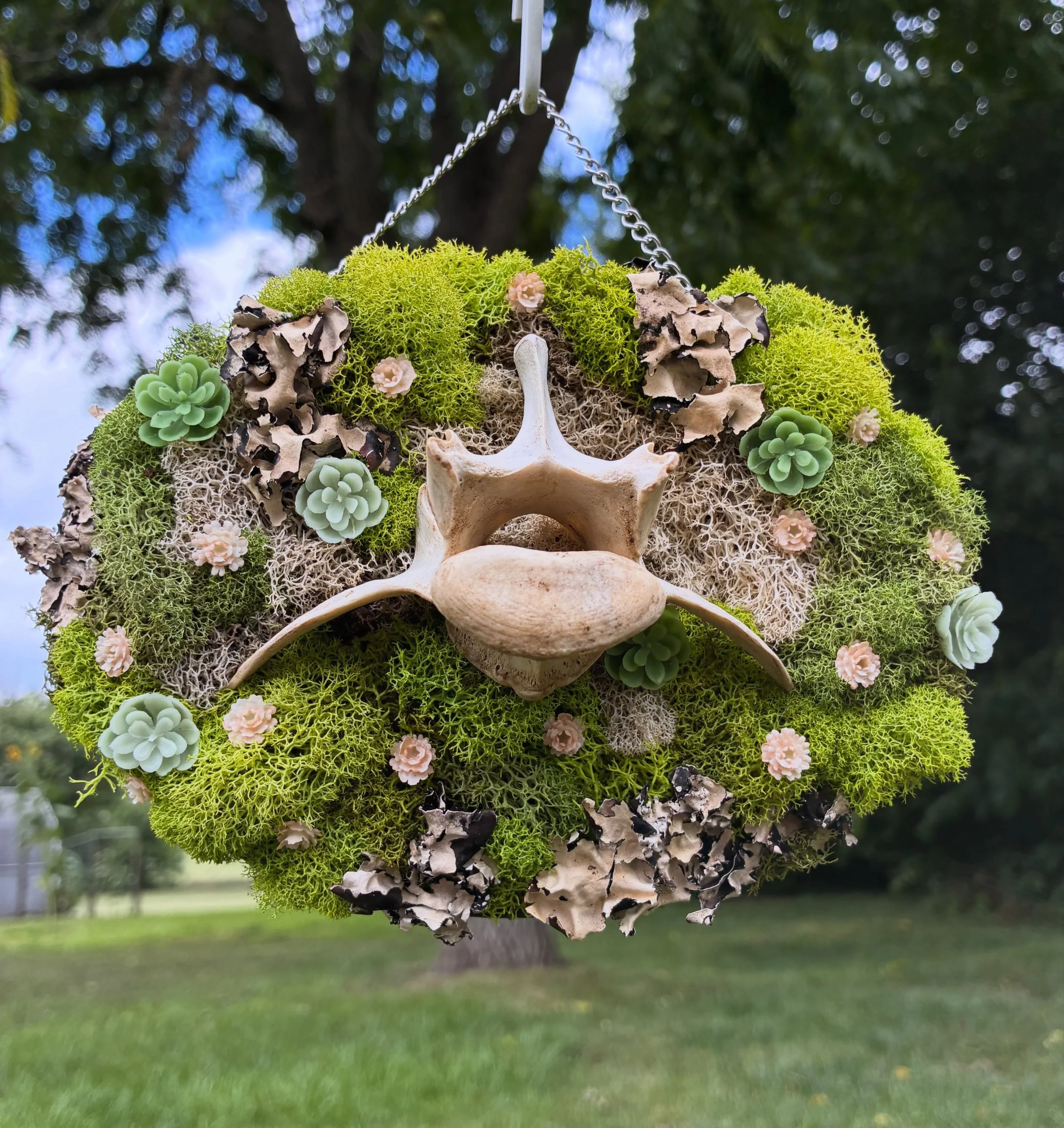 moss 2.jpg
