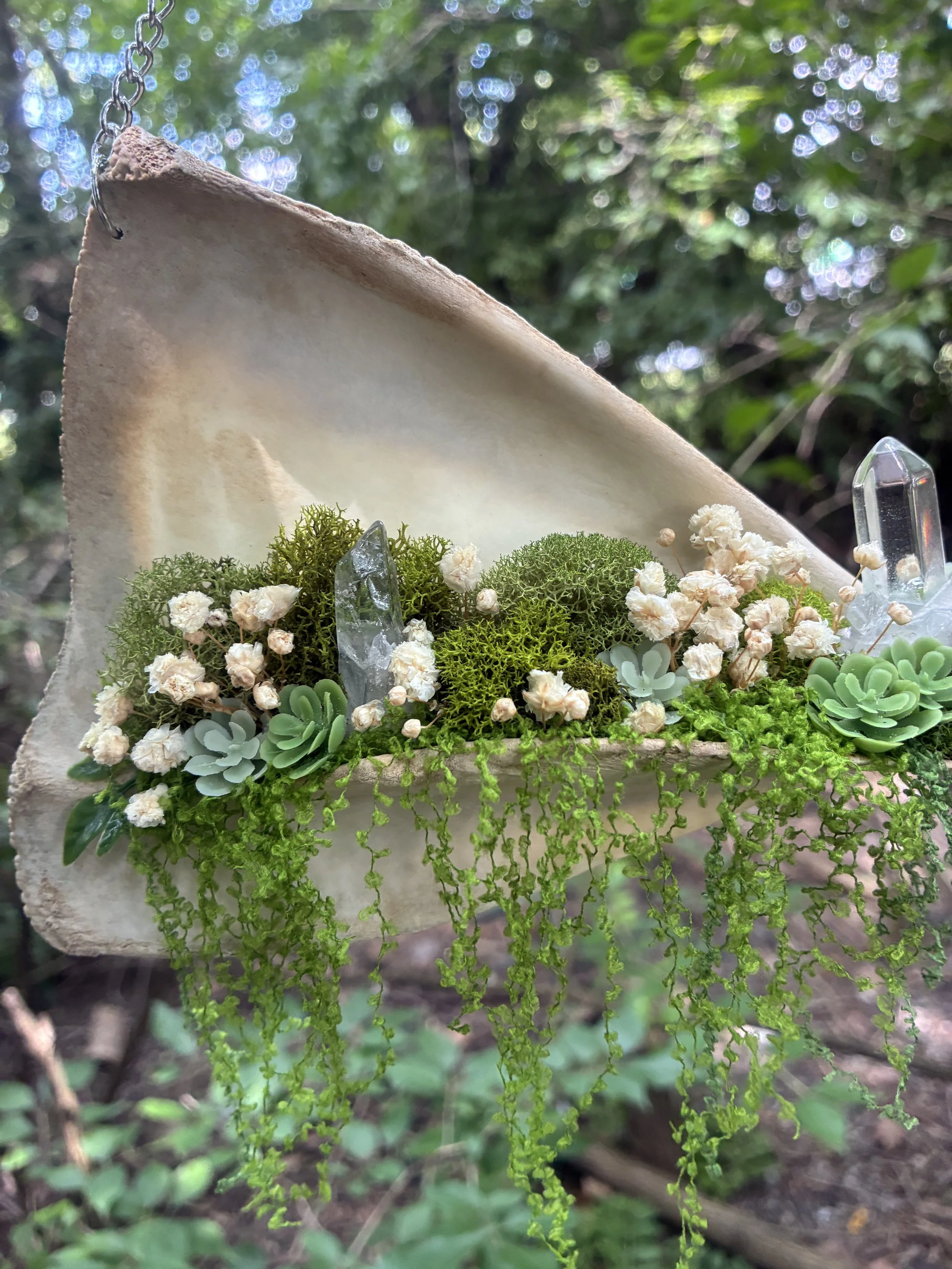The Blooming Bone Garden