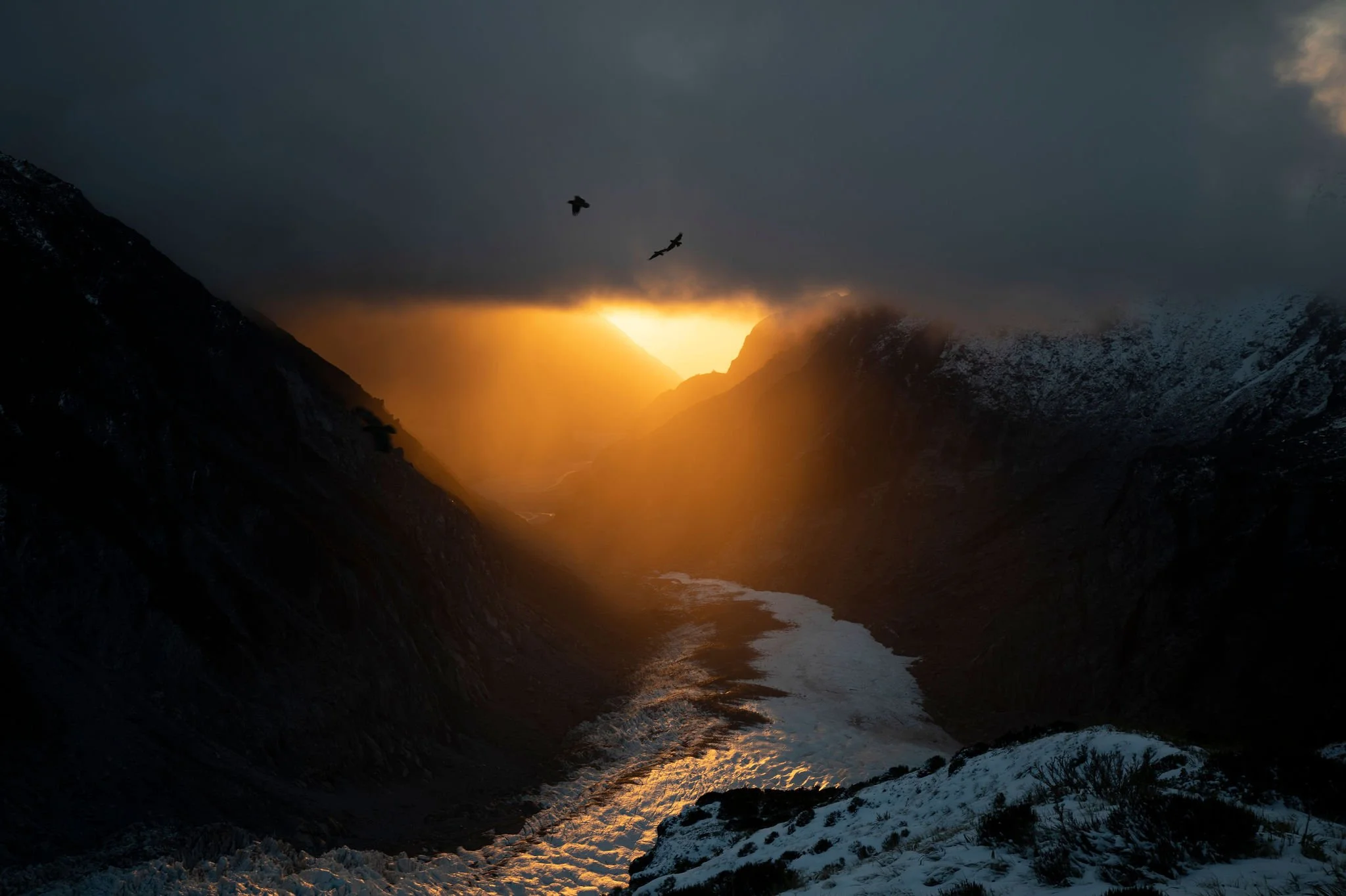 golden light through storm clouds with the glacier below and kea on the wing