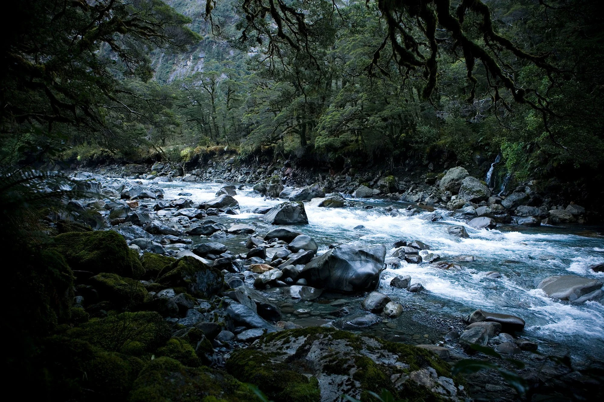 Immersive landscape photograph of a mountain river in deep forest, capturing texture, water movement and a cool natural atmosphere.