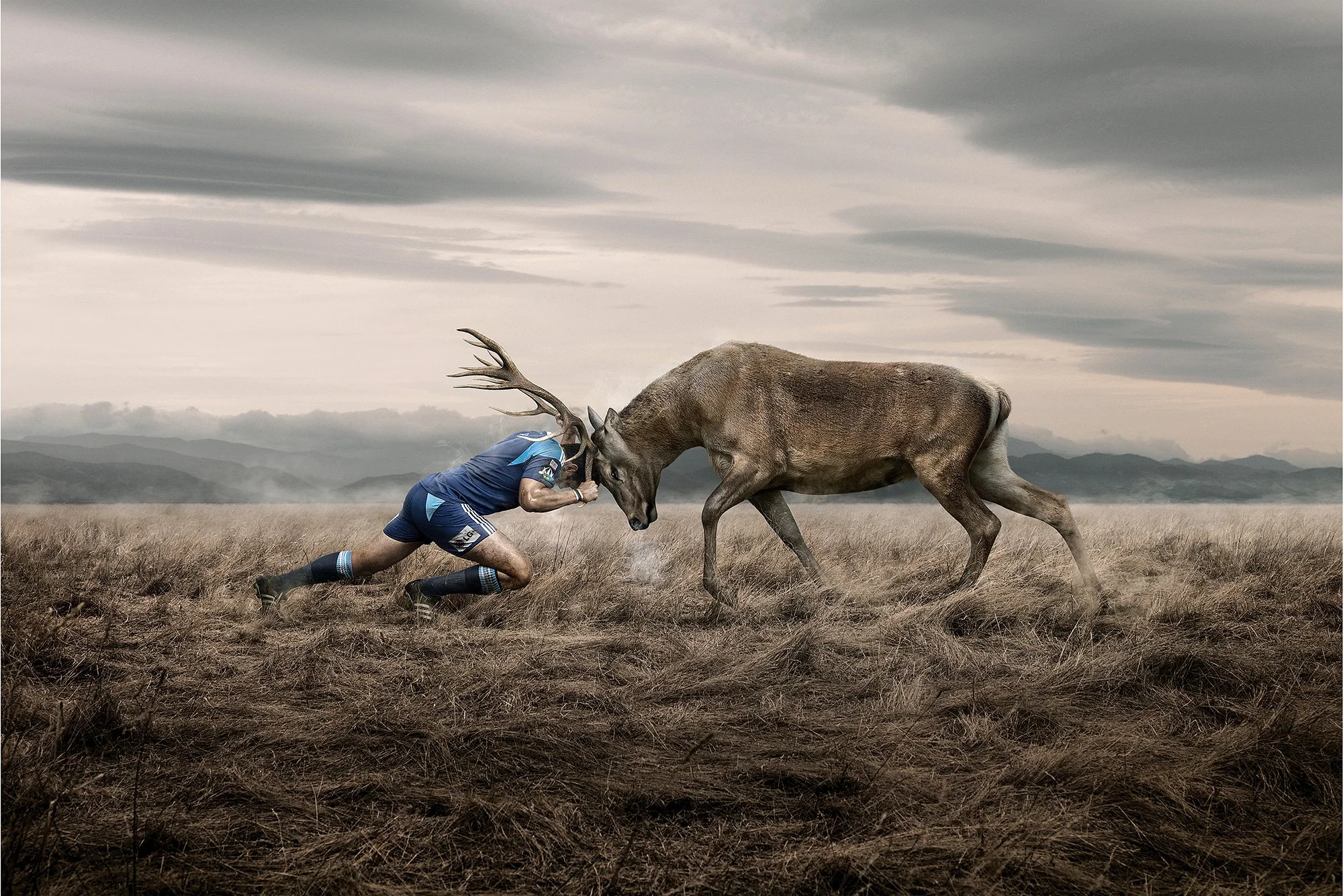 Conceptual sports image showing a powerful struggle between a rugby player and a stag, set in a dramatic alpine landscape.