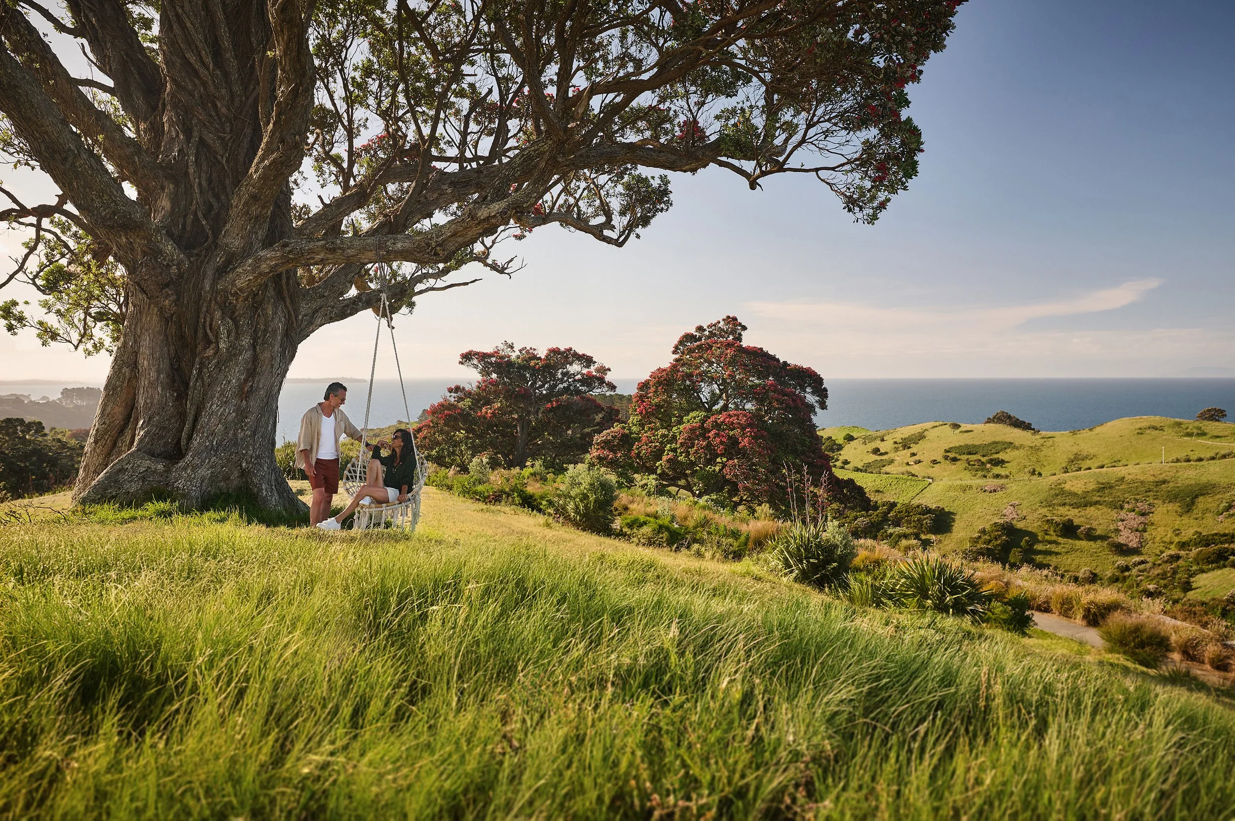 Family relaxing under a large tree in a coastal landscape at sunset.