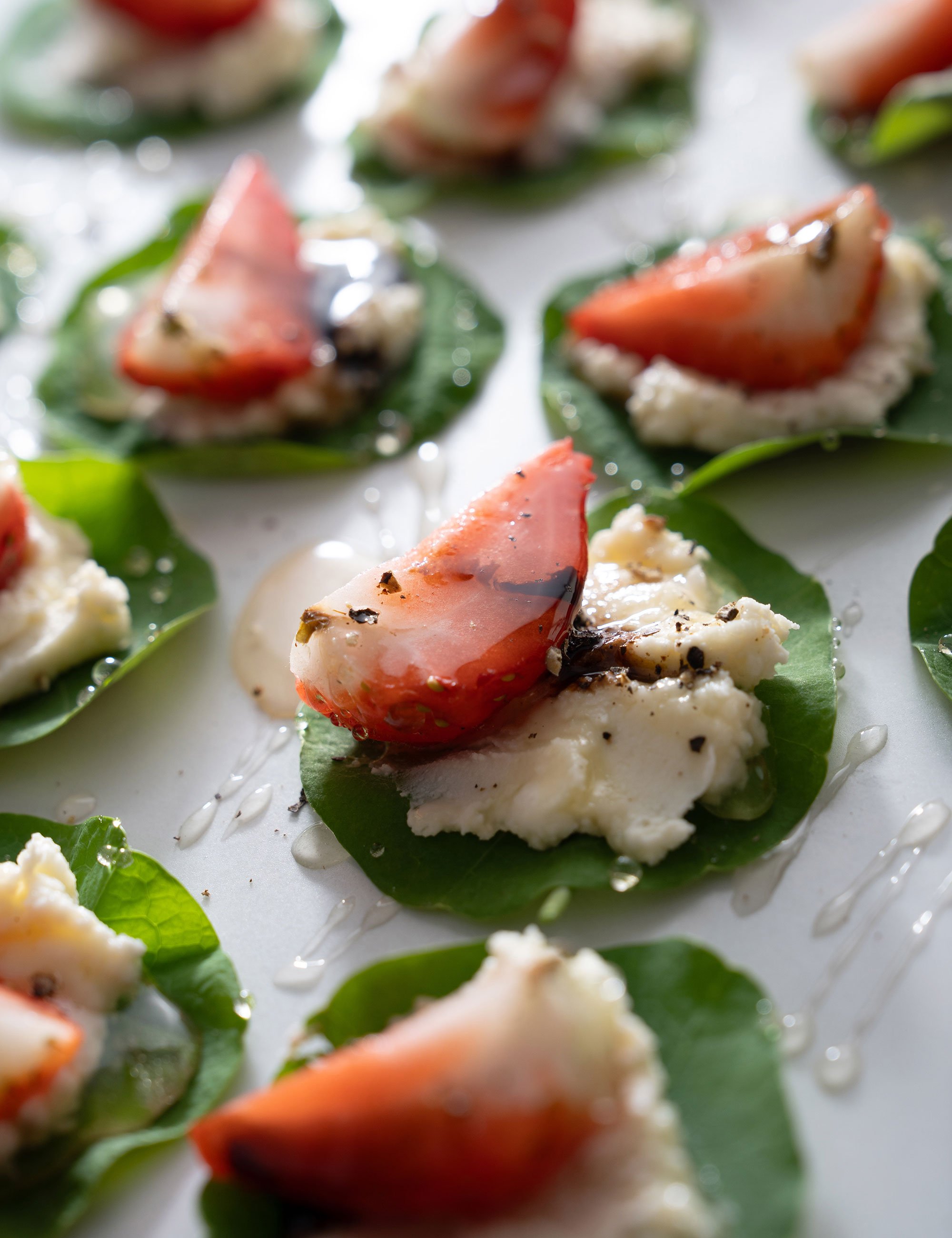 Canapes topped with tomato and herbs arranged on a white platter.