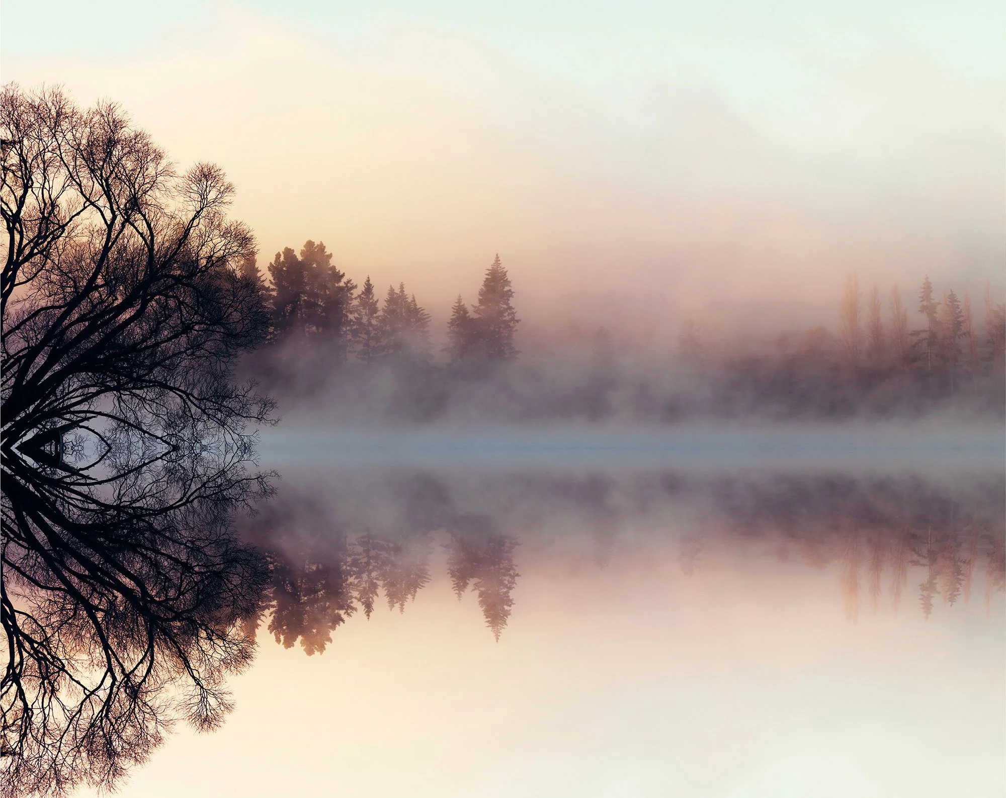 Quiet fine art landscape photograph of early morning mist and reflected trees, capturing softness, stillness and gentle pastel light.