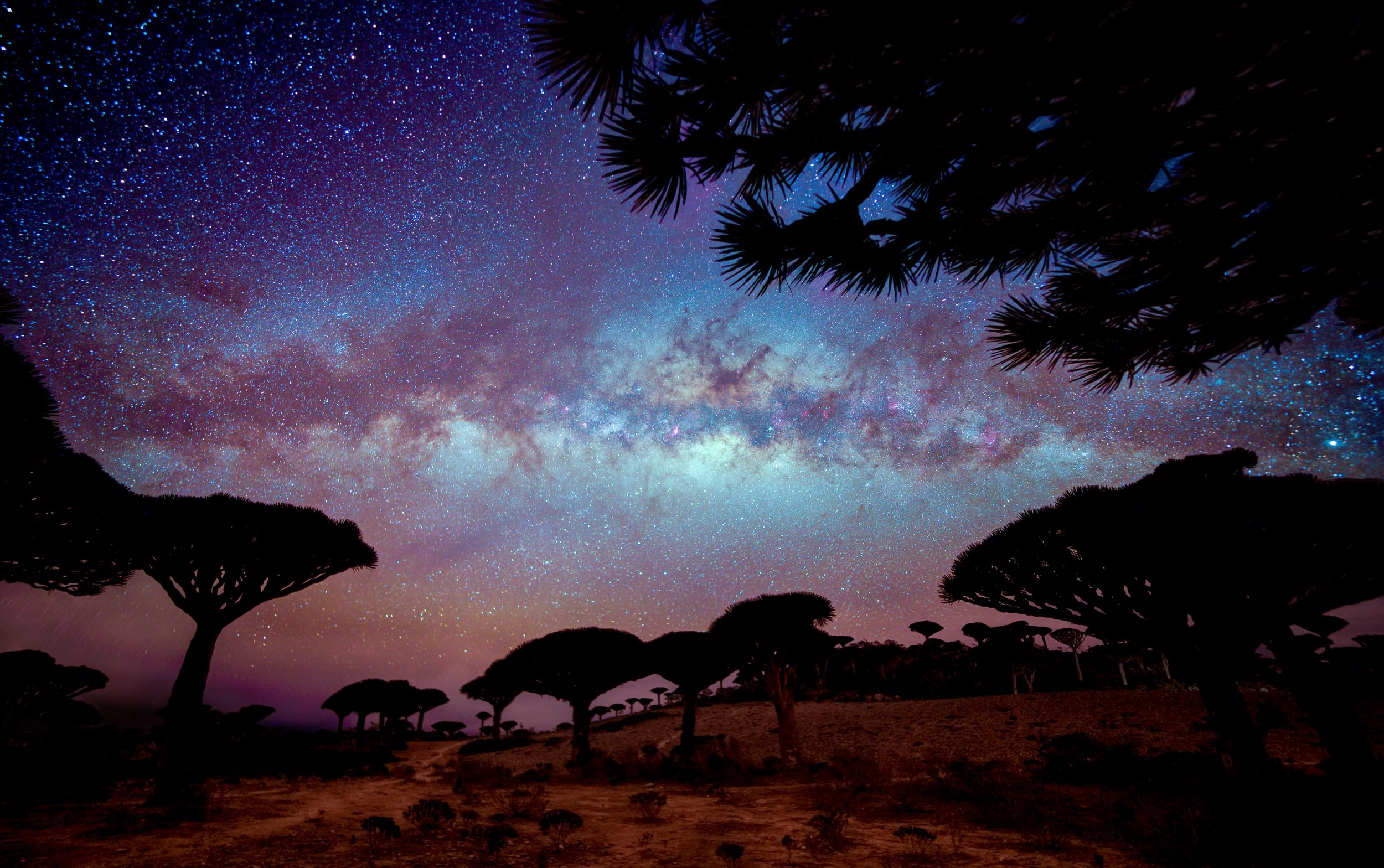Astro-Tourism: The Complete Guide to Traveling for the Night Sky