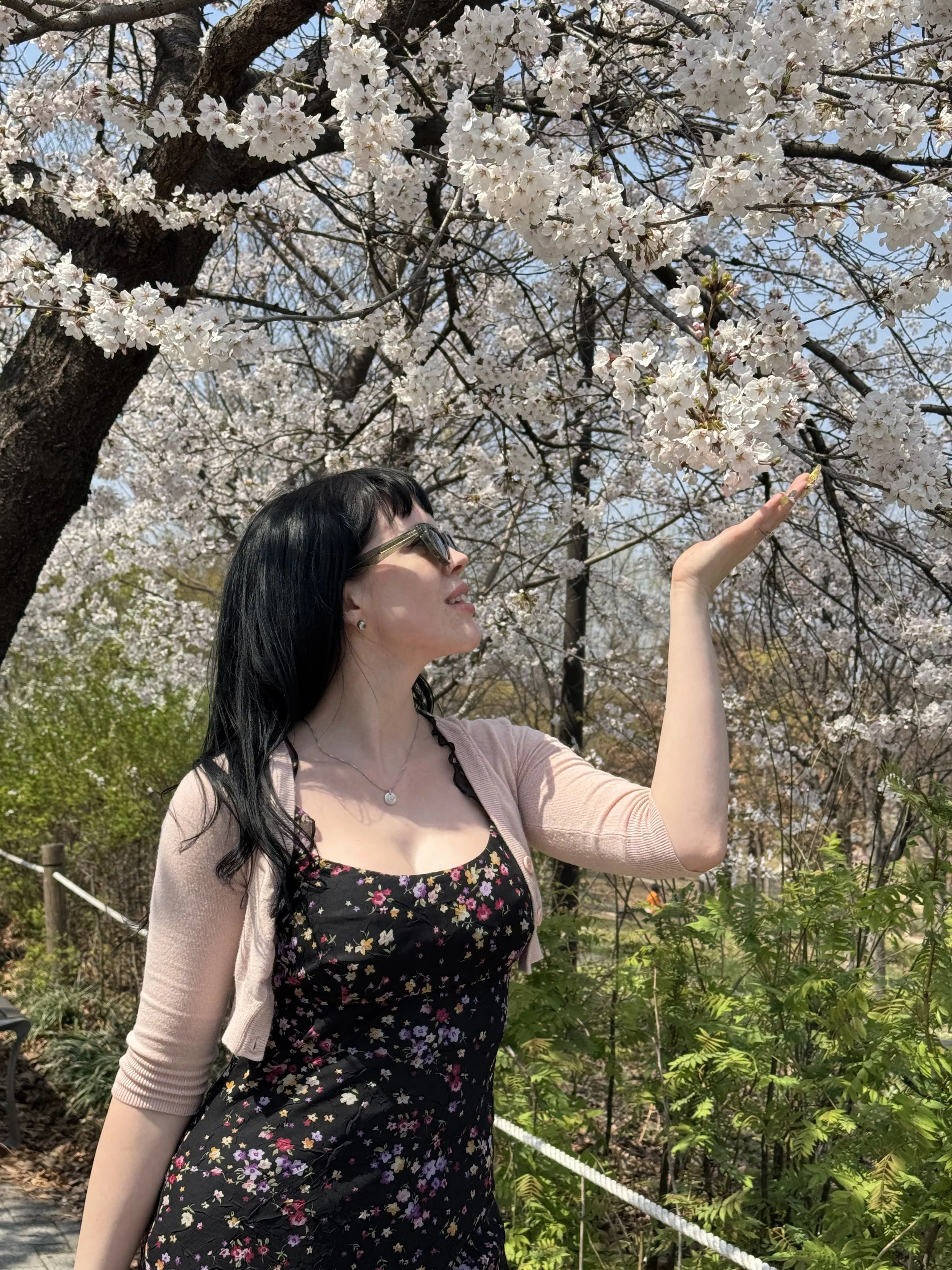 see the cherry blossoms in south korea on this girls only trip