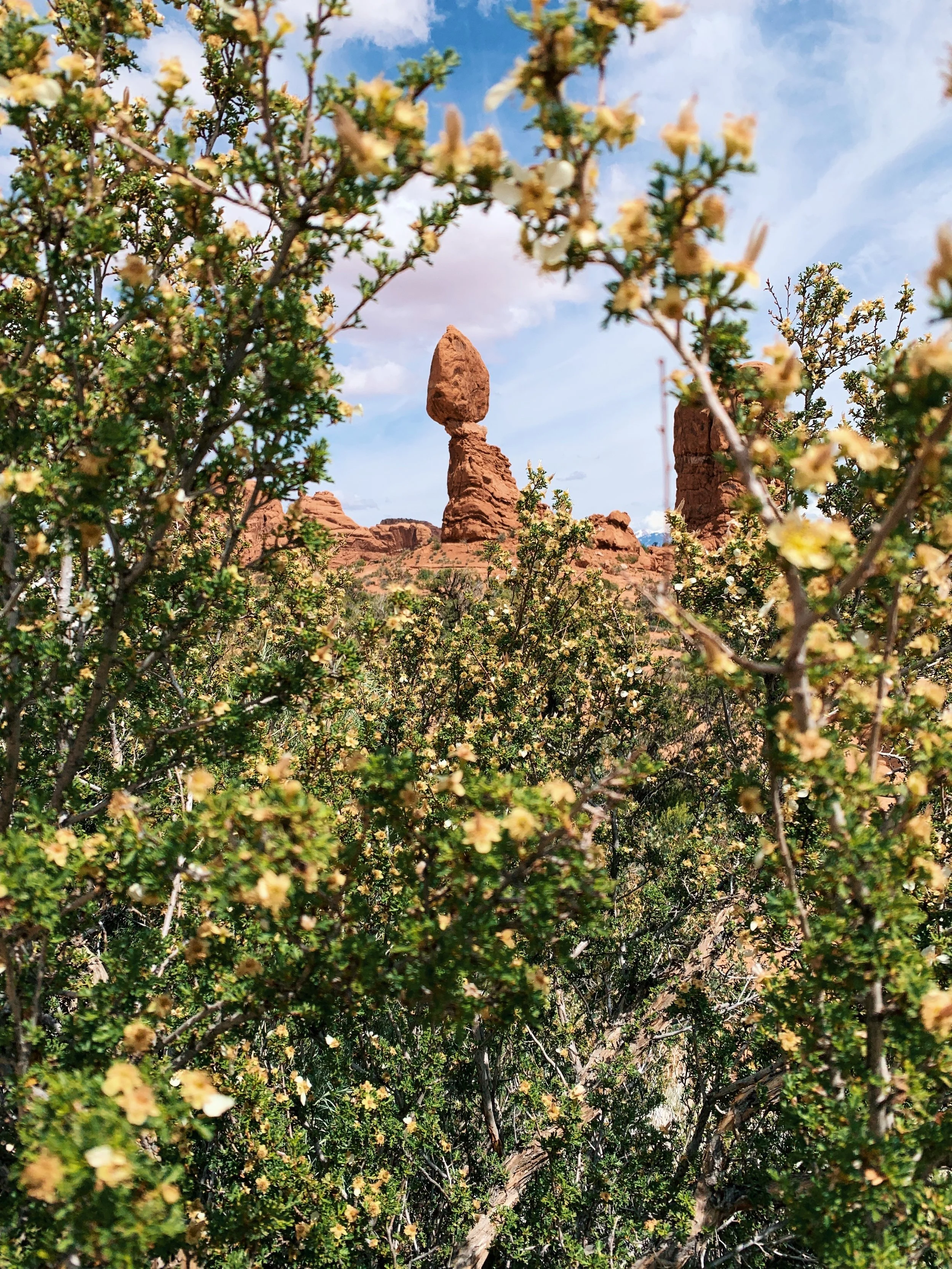 moab arches national park astrophotography tours