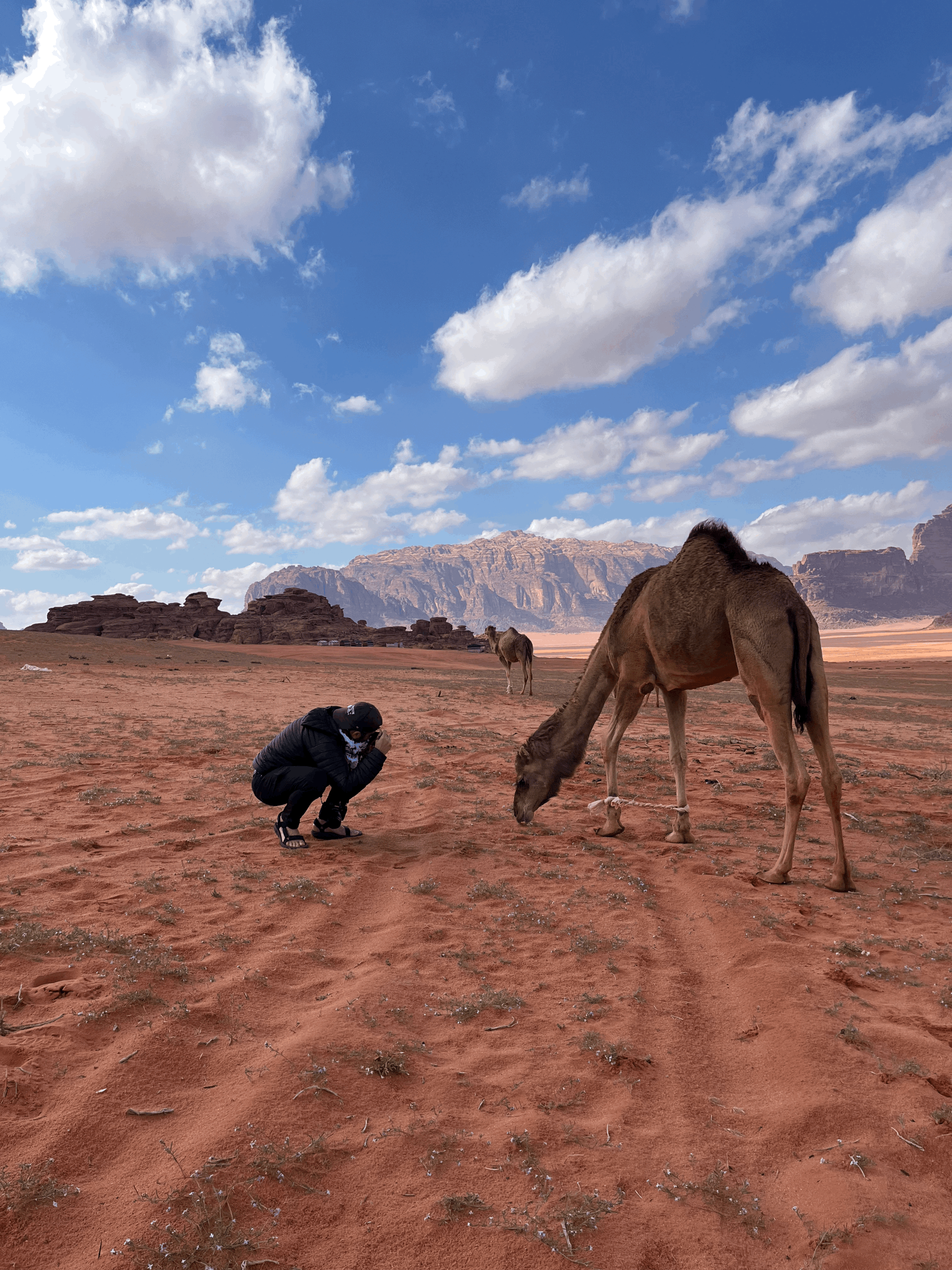 tempImageoarXP1.gif