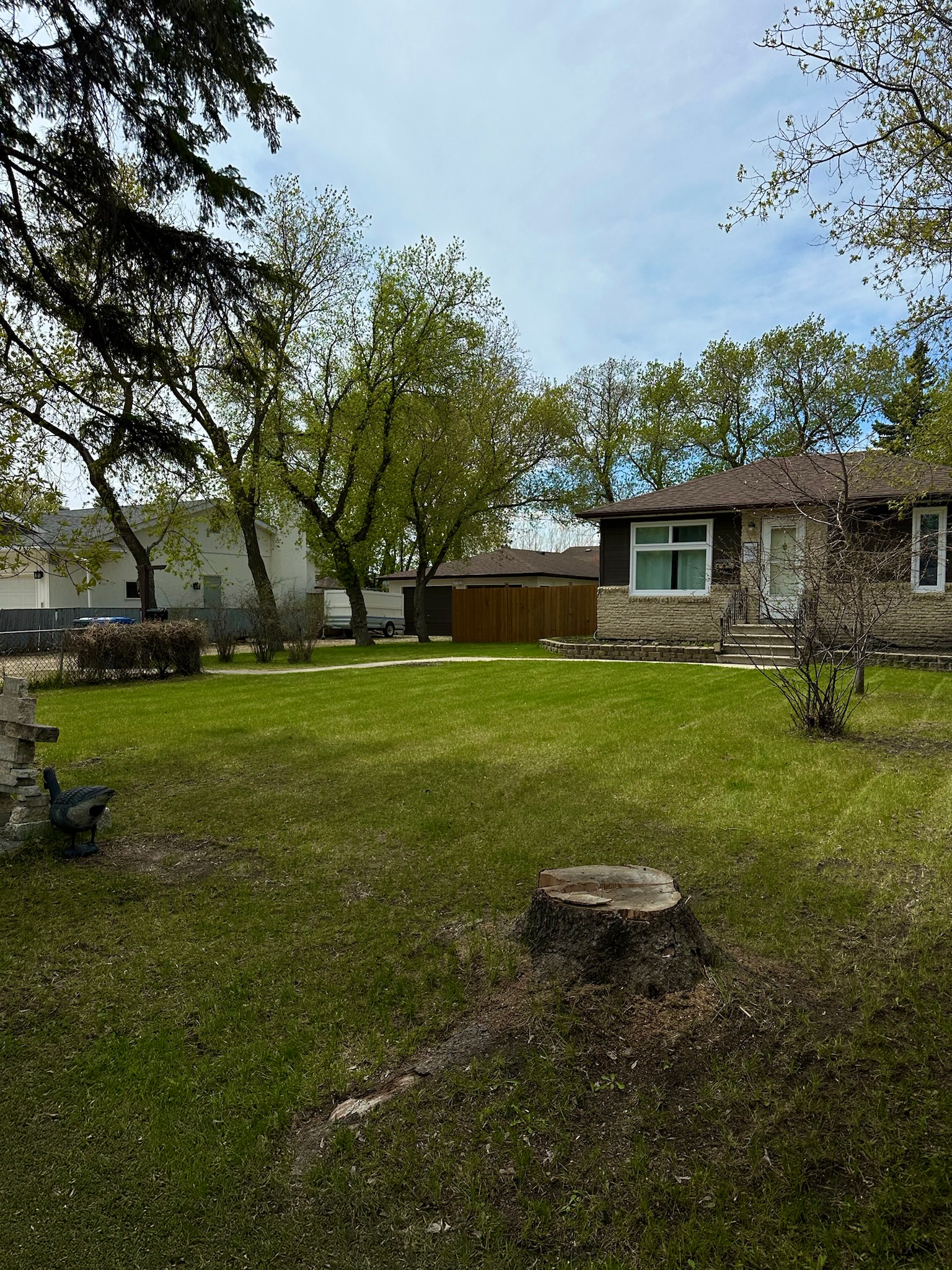 LAWN CARE