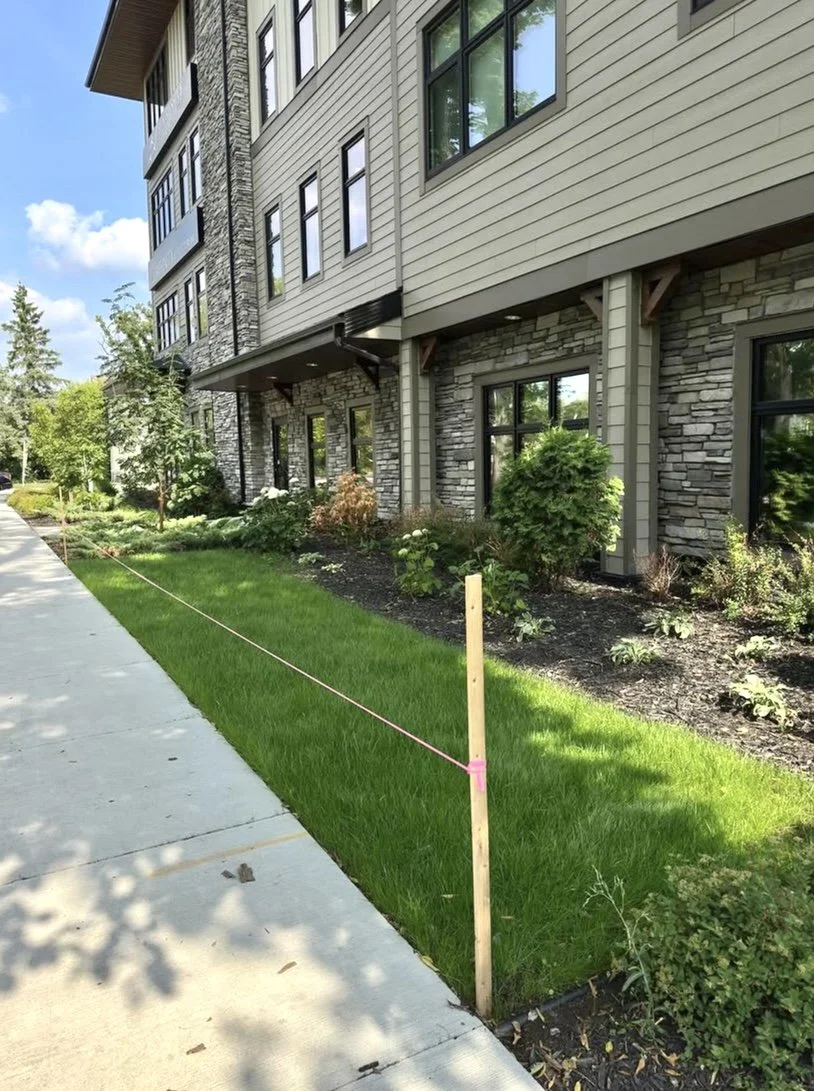 lawn renovation