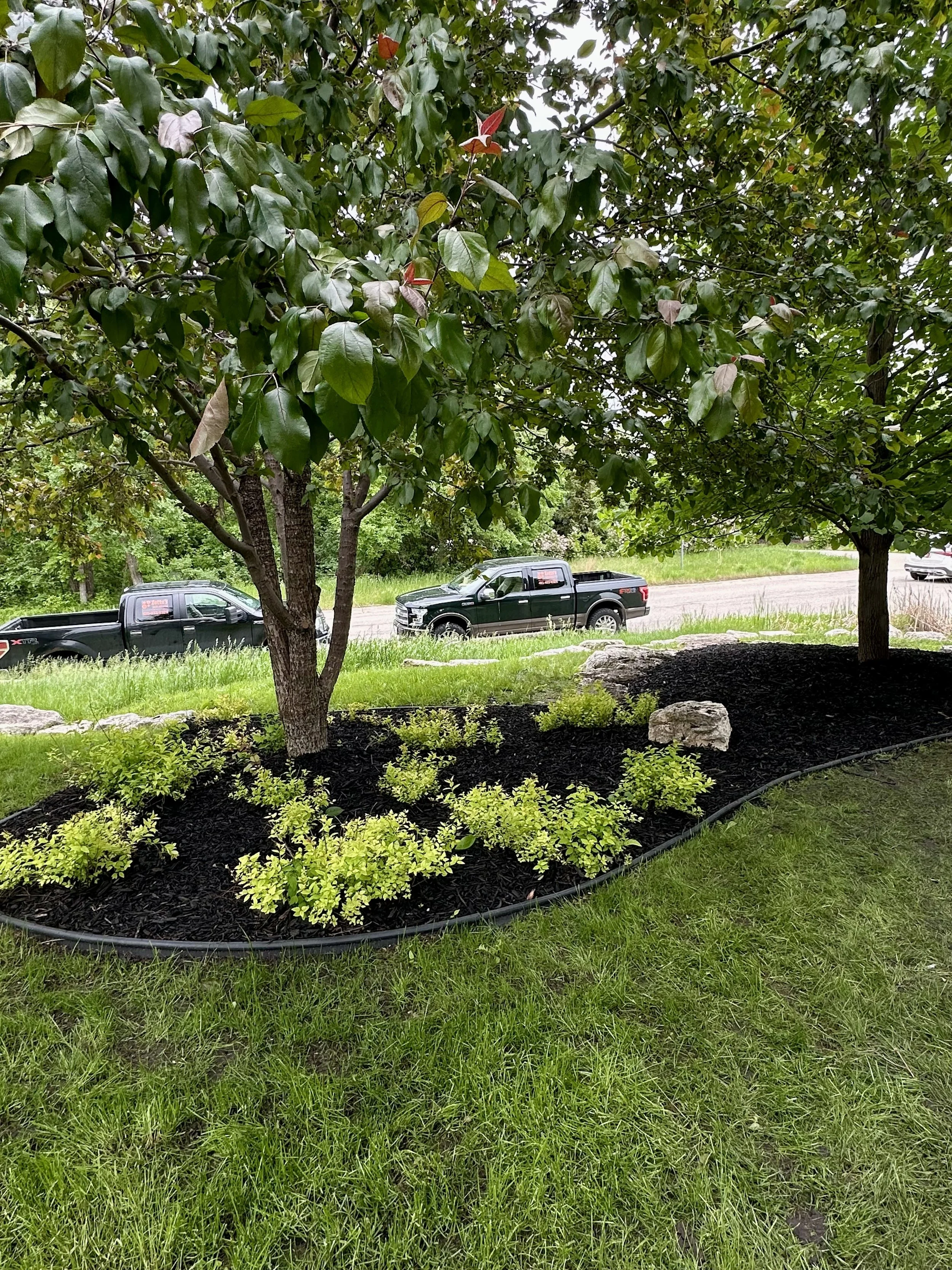MULCH