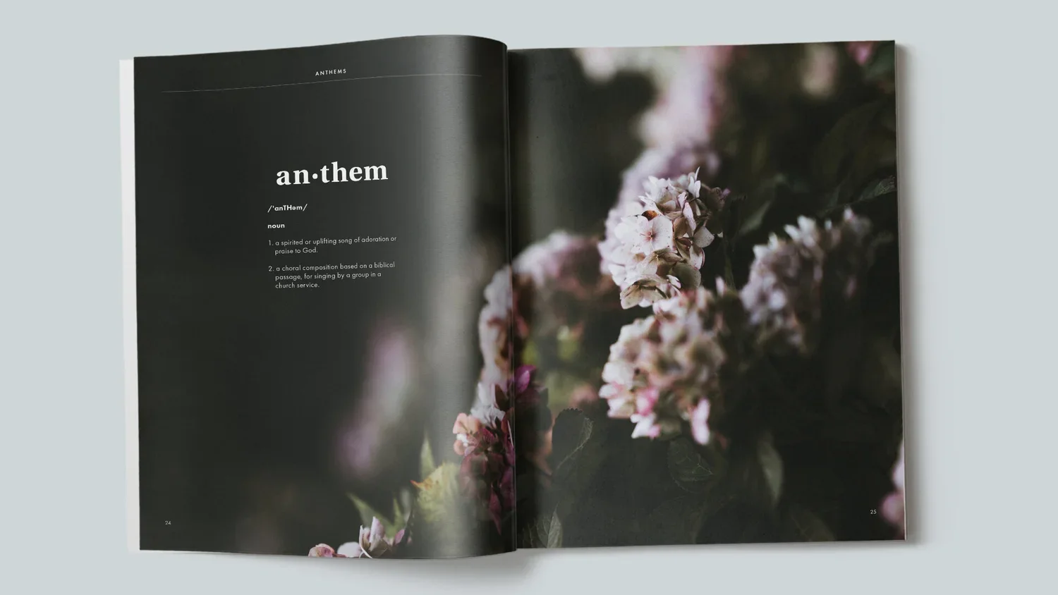 AL-COVER_AMS2020-Opener.jpg.webp