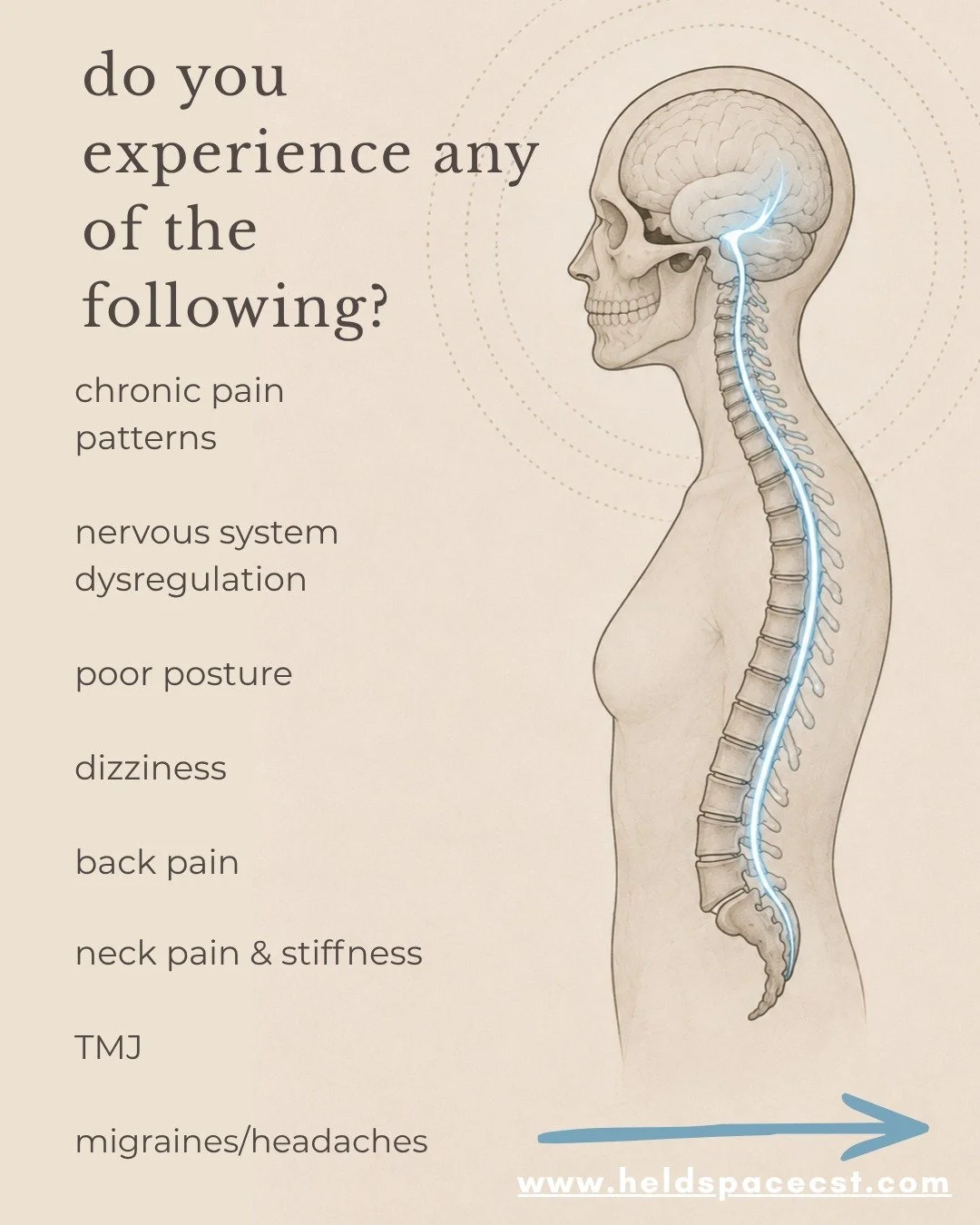 The Dural Tube is the protective membrane that surrounds the brain and spinal cord. It begins inside the cranium and extends down to the sacrum. It creates a continuous connection between the head, spine, and pelvis. Tension in the sacrum can affect 