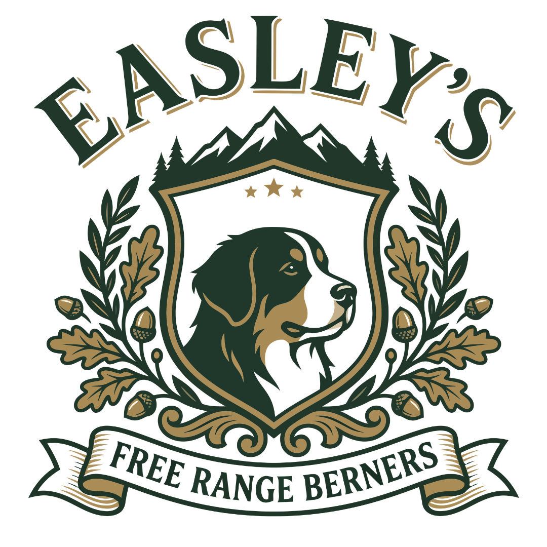 Easley's Free Range Berners 
