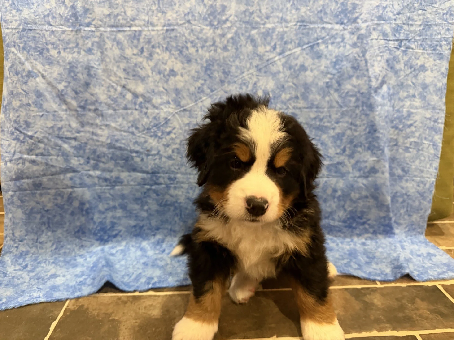 Hank 18 July 26.jpg