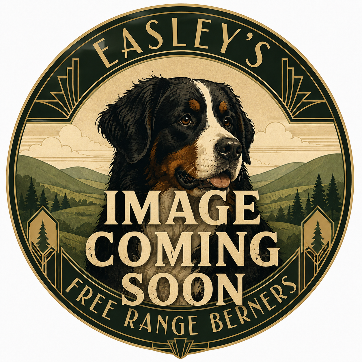 berner_image coming soon.png