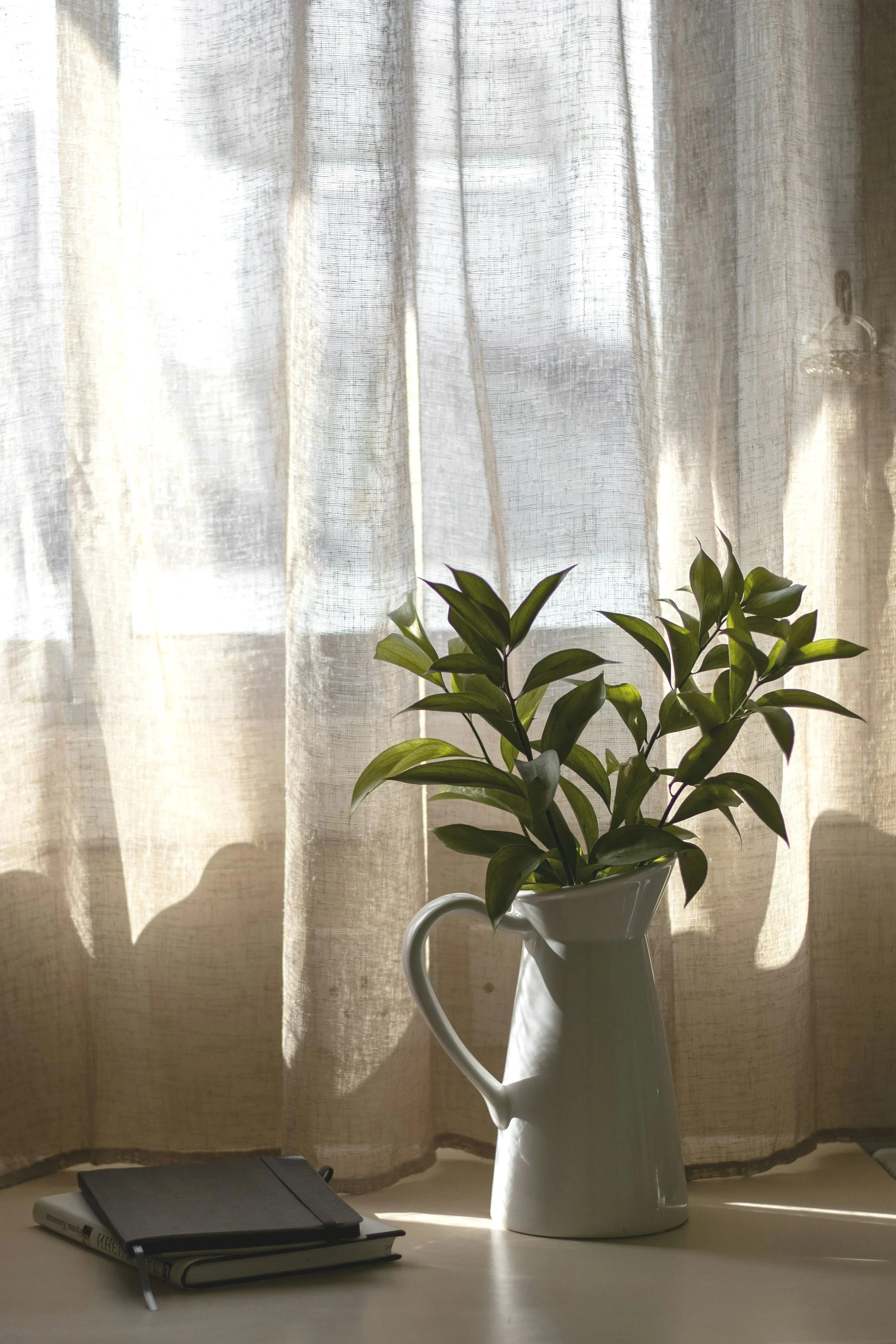 A potted green plant in a white ceramic pitcher on a desk, with closed books and a gray spiral-bound notebook, set in front of sheer beige curtains letting in natural light.