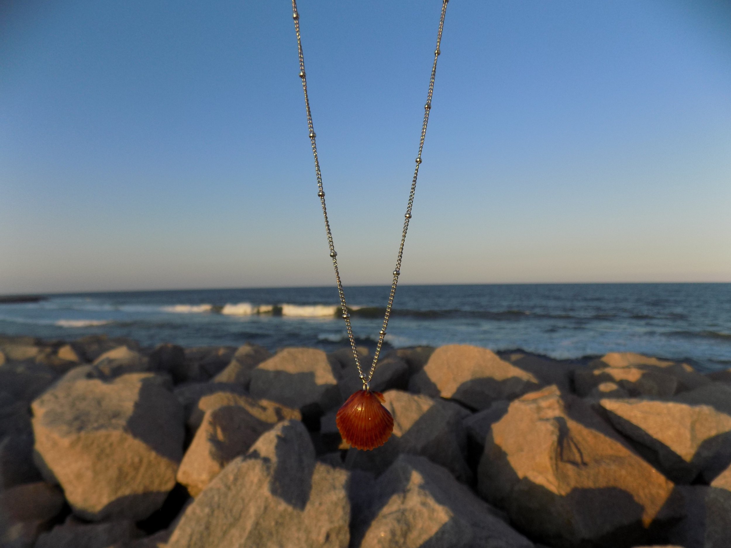 Fire Scallop