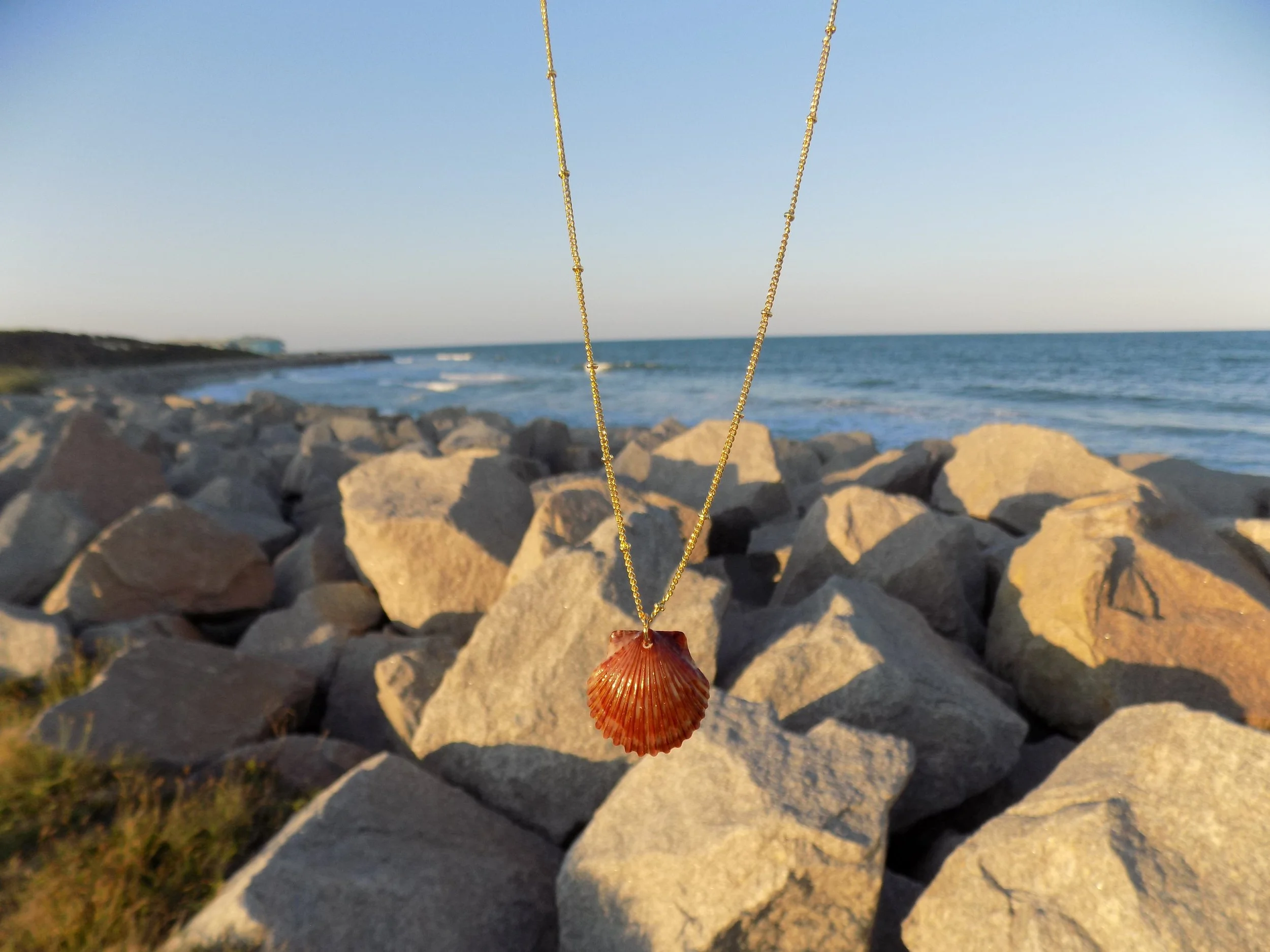 Sun scallop