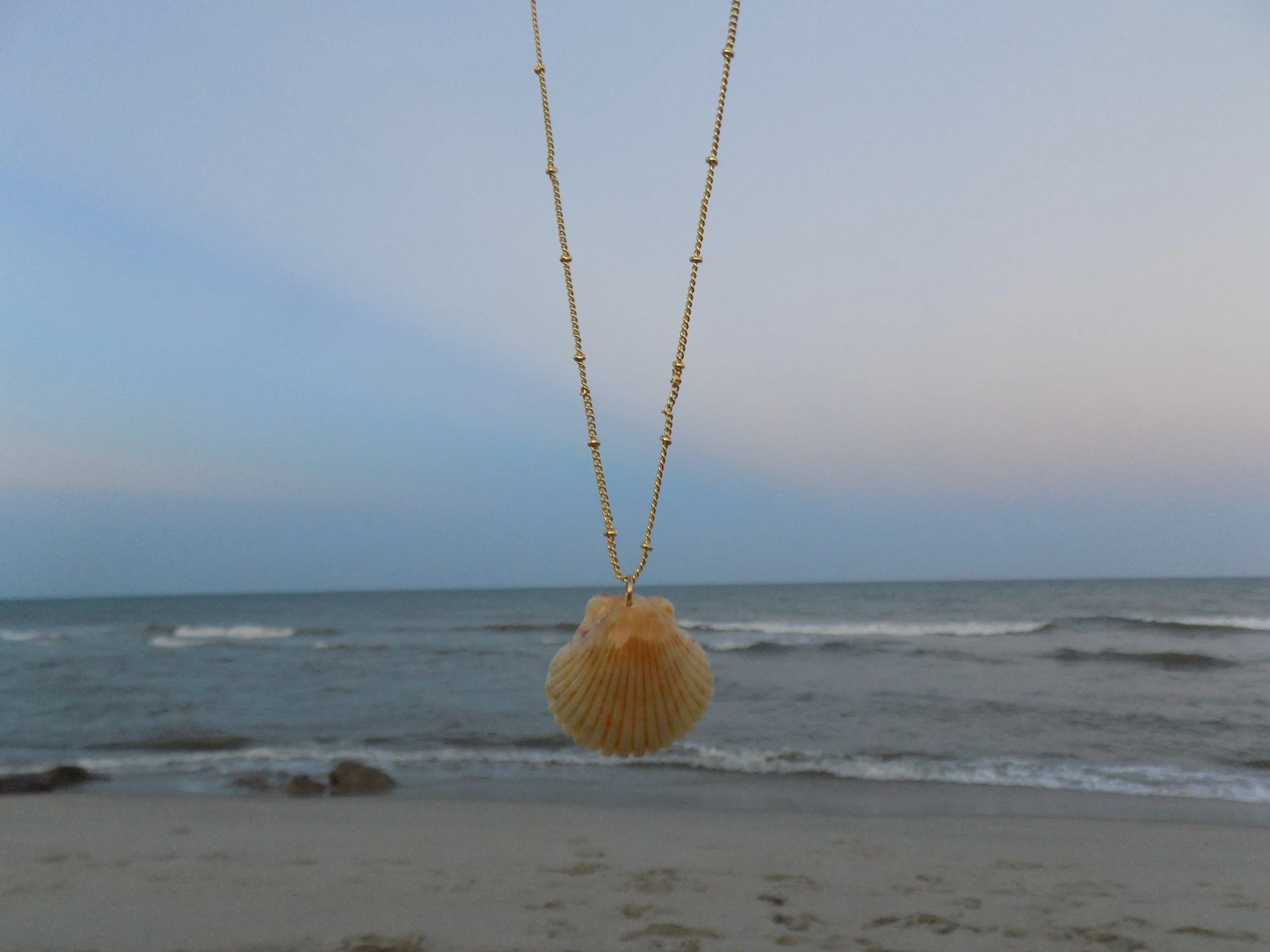 Peach Scallop