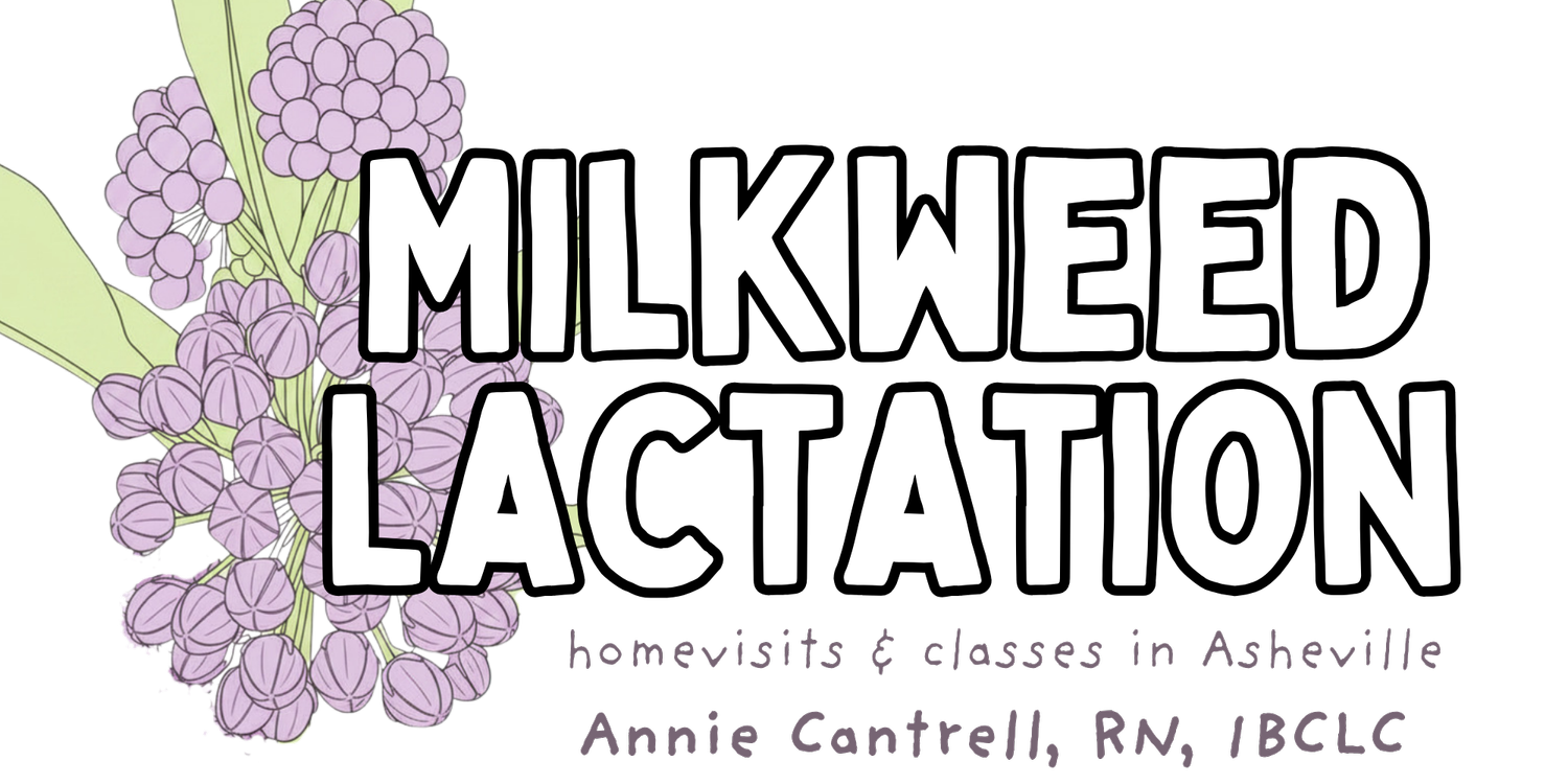 Milkweed Lactation 
