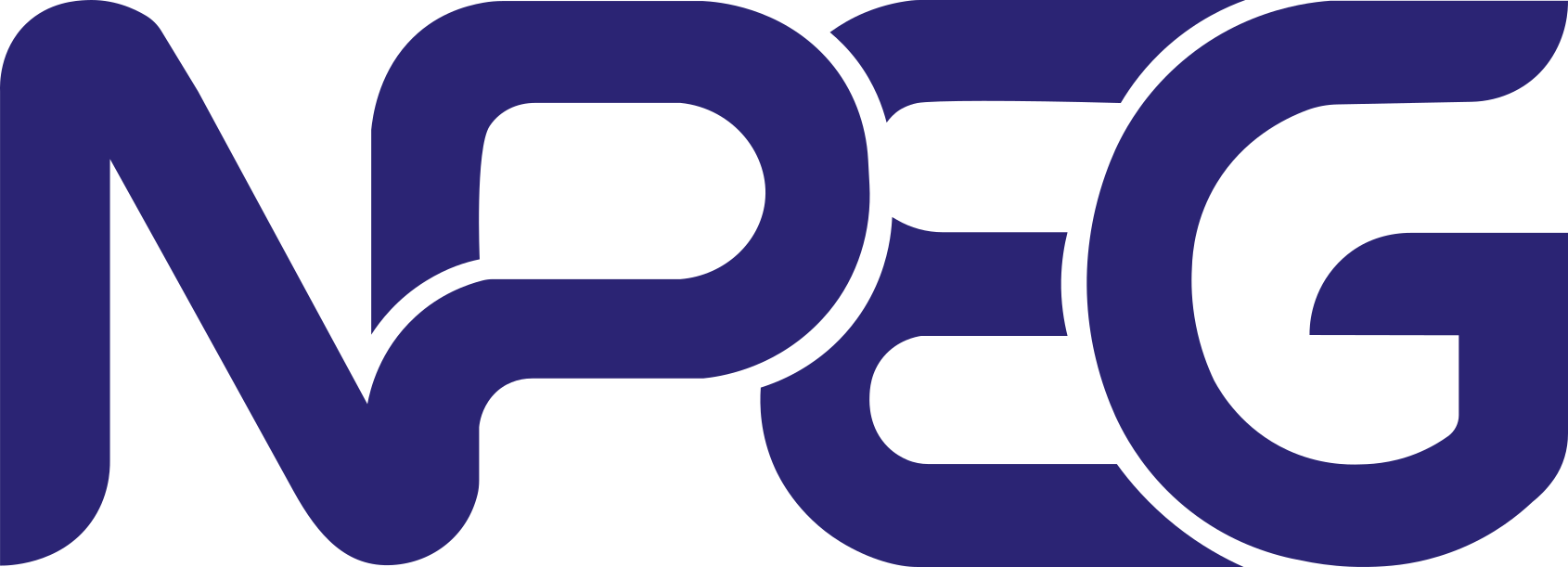 Close-up of the NPDG logo in dark blue letters on a black background.
