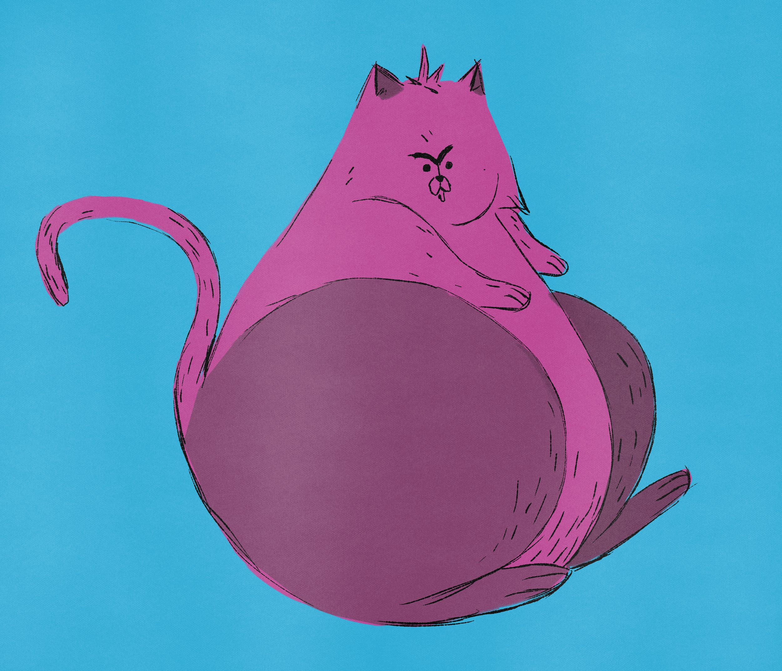 FatCat01.png